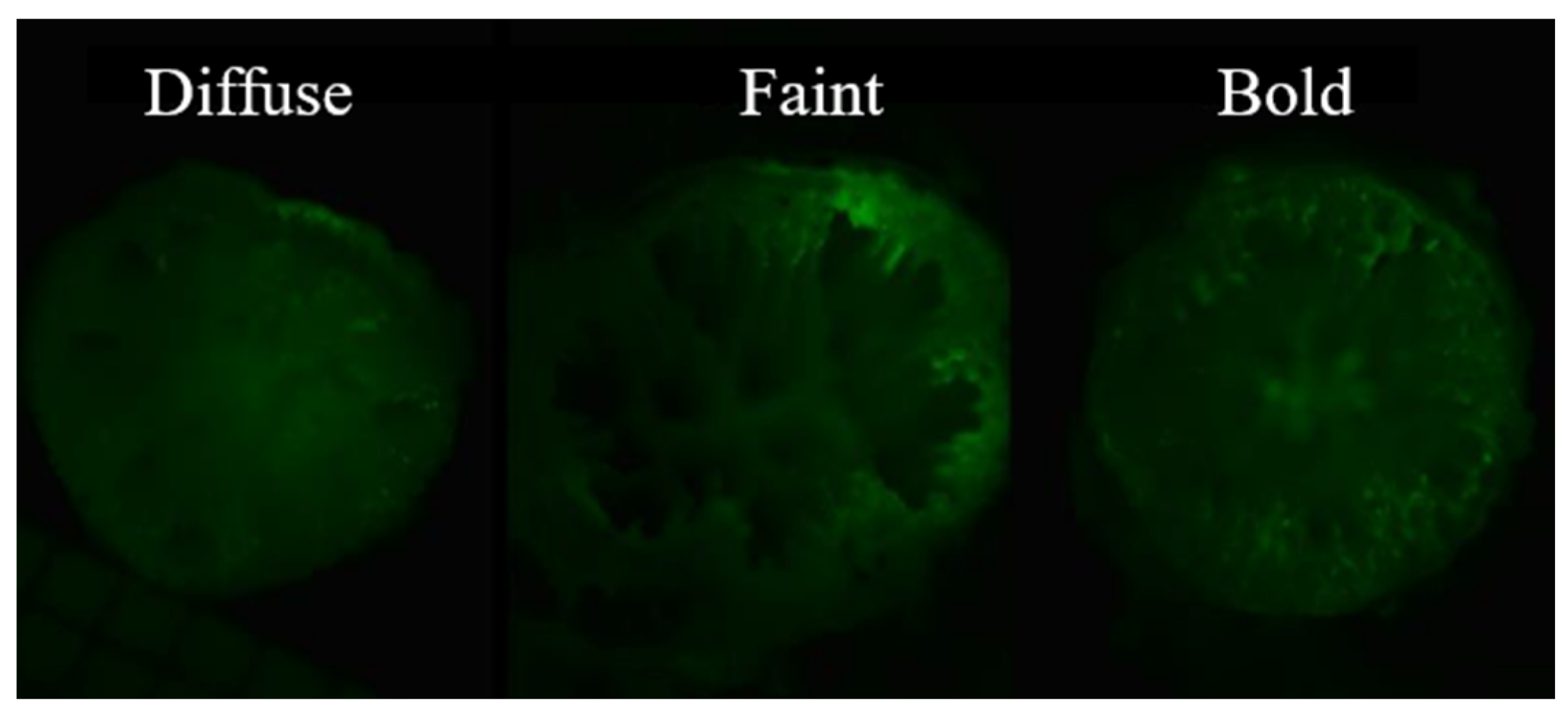 Diversity 16 00475 g002