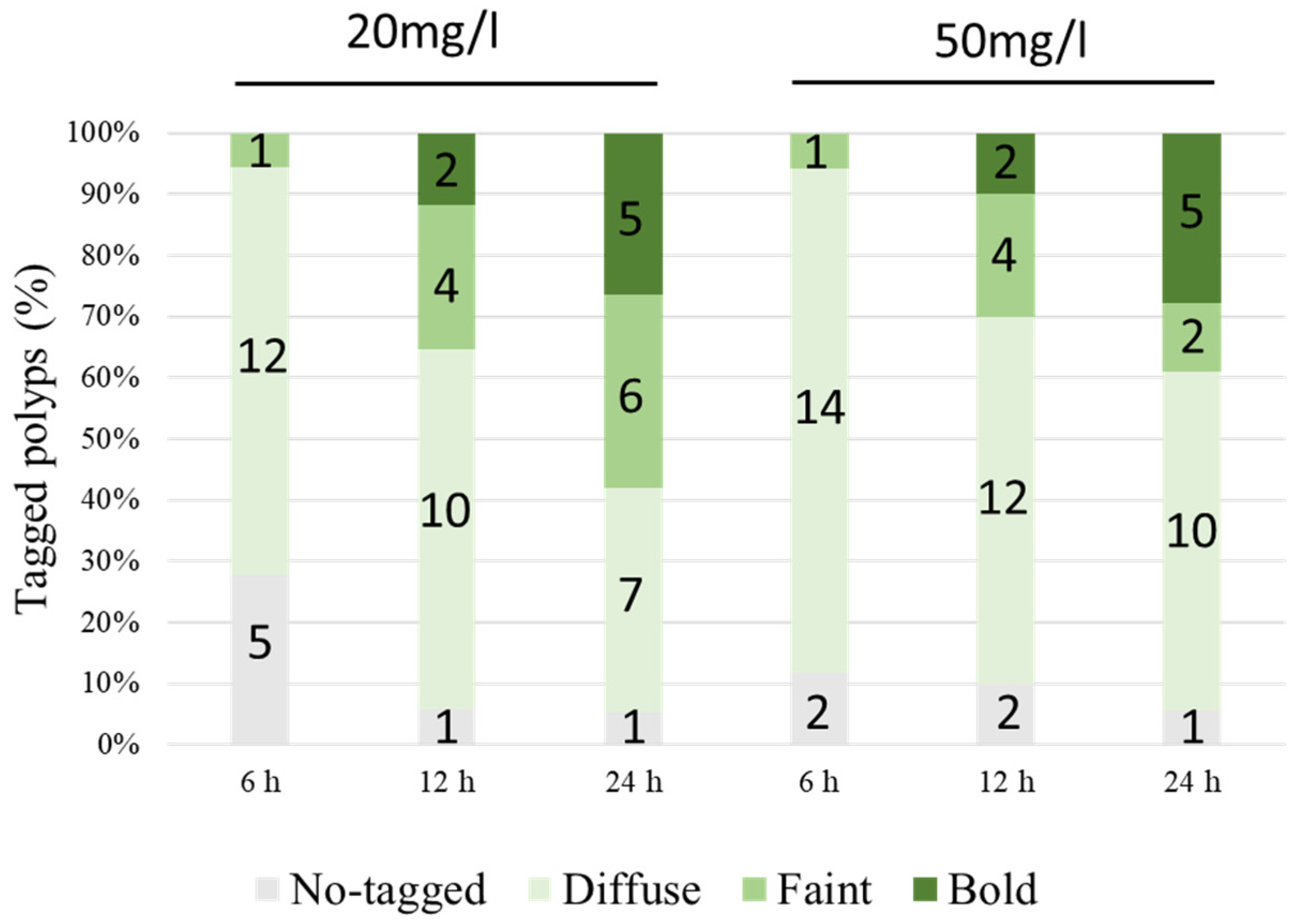 Diversity 16 00475 g006