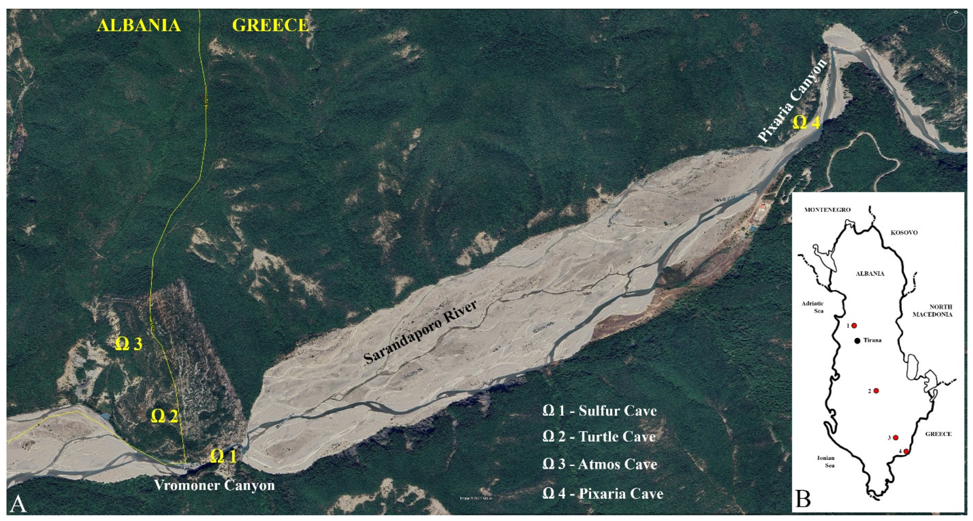 Diversity 16 00477 g001