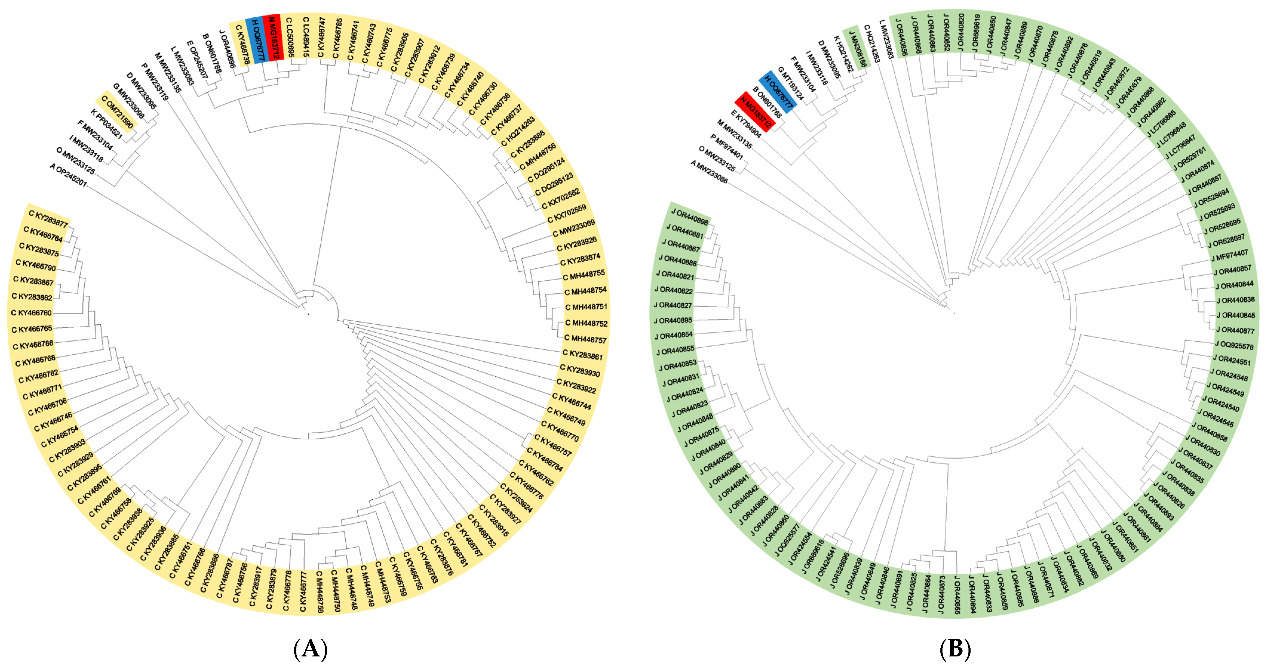 Diversity 16 00481 g003 Diversity 16 00481 g003
