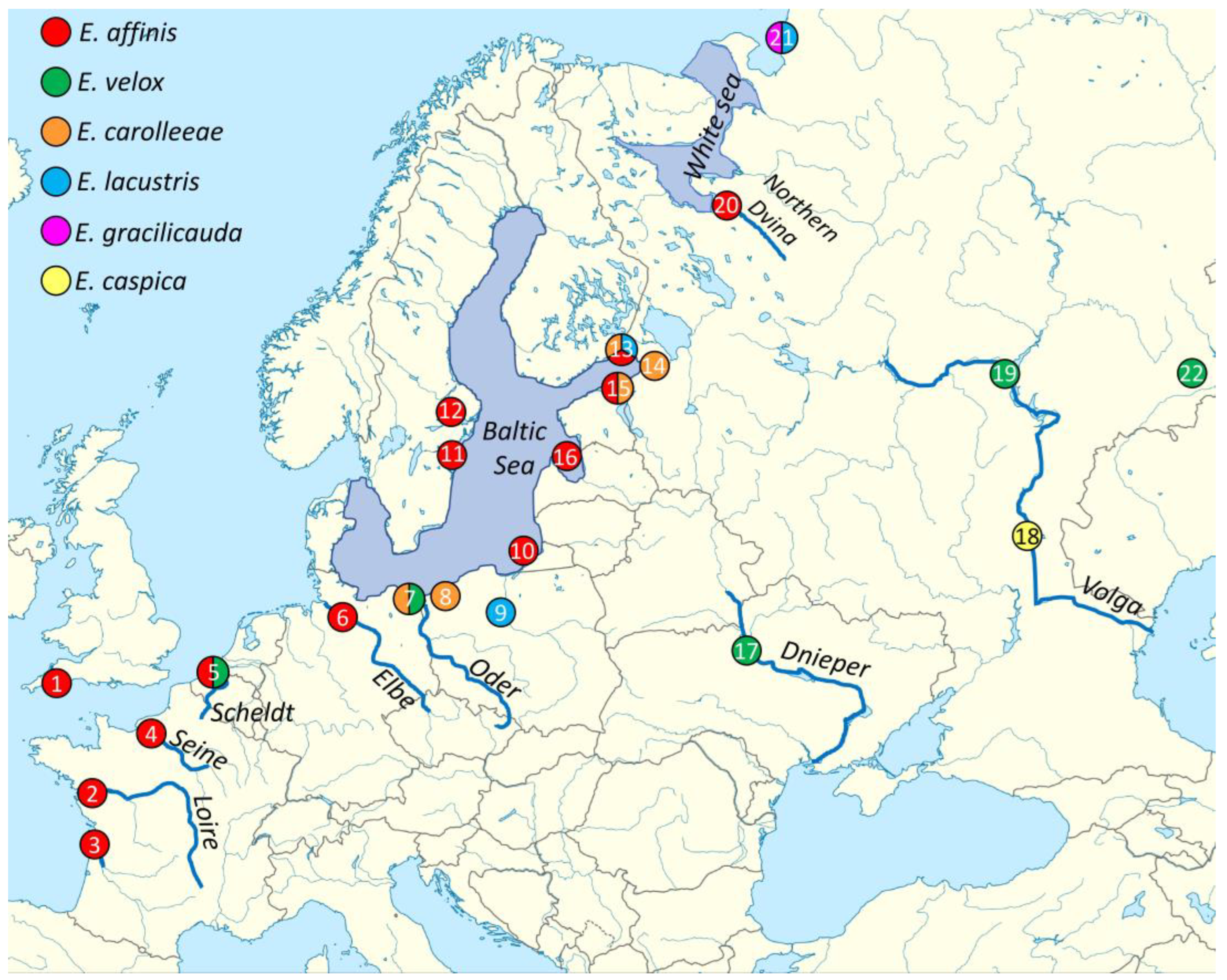 Diversity 16 00483 g001 Diversity 16 00483 g001
