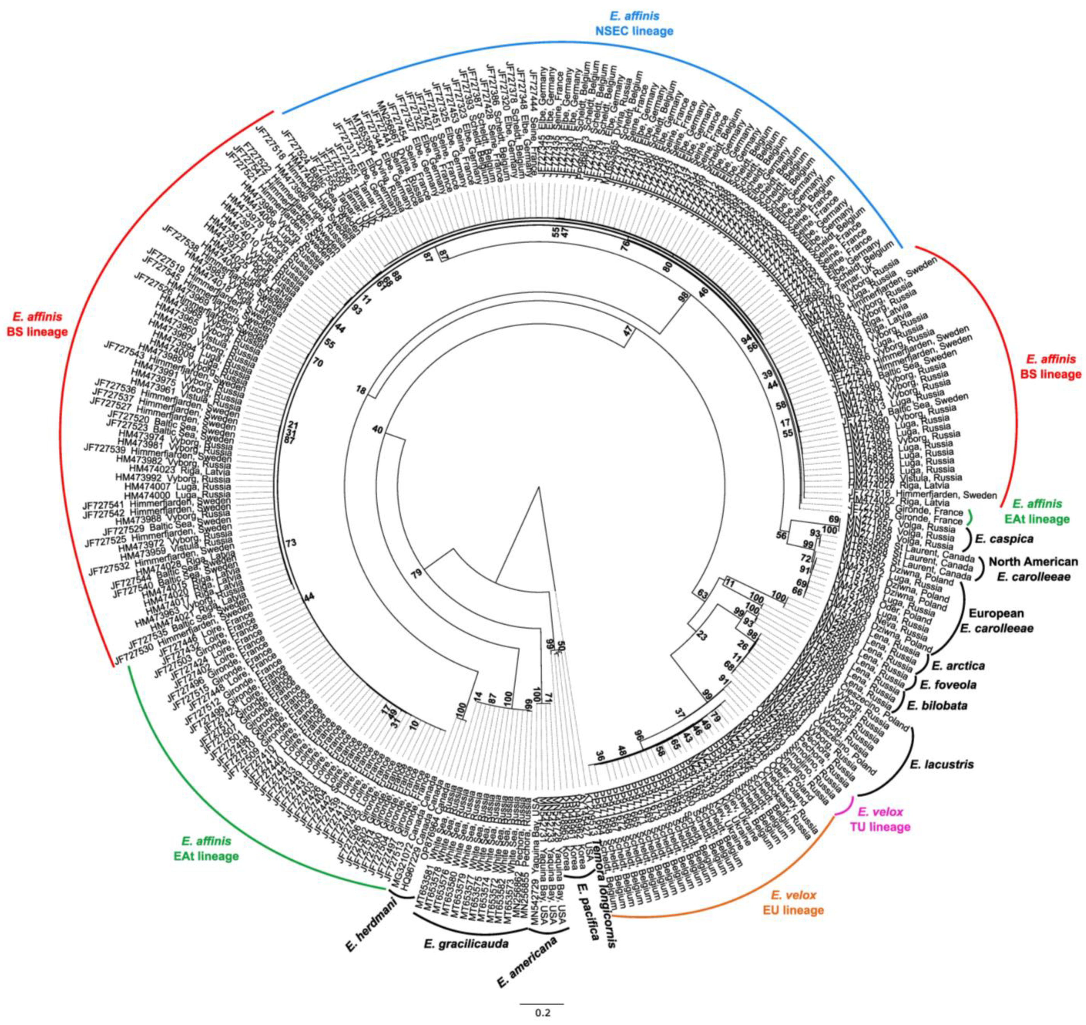 Diversity 16 00483 g002 Diversity 16 00483 g002