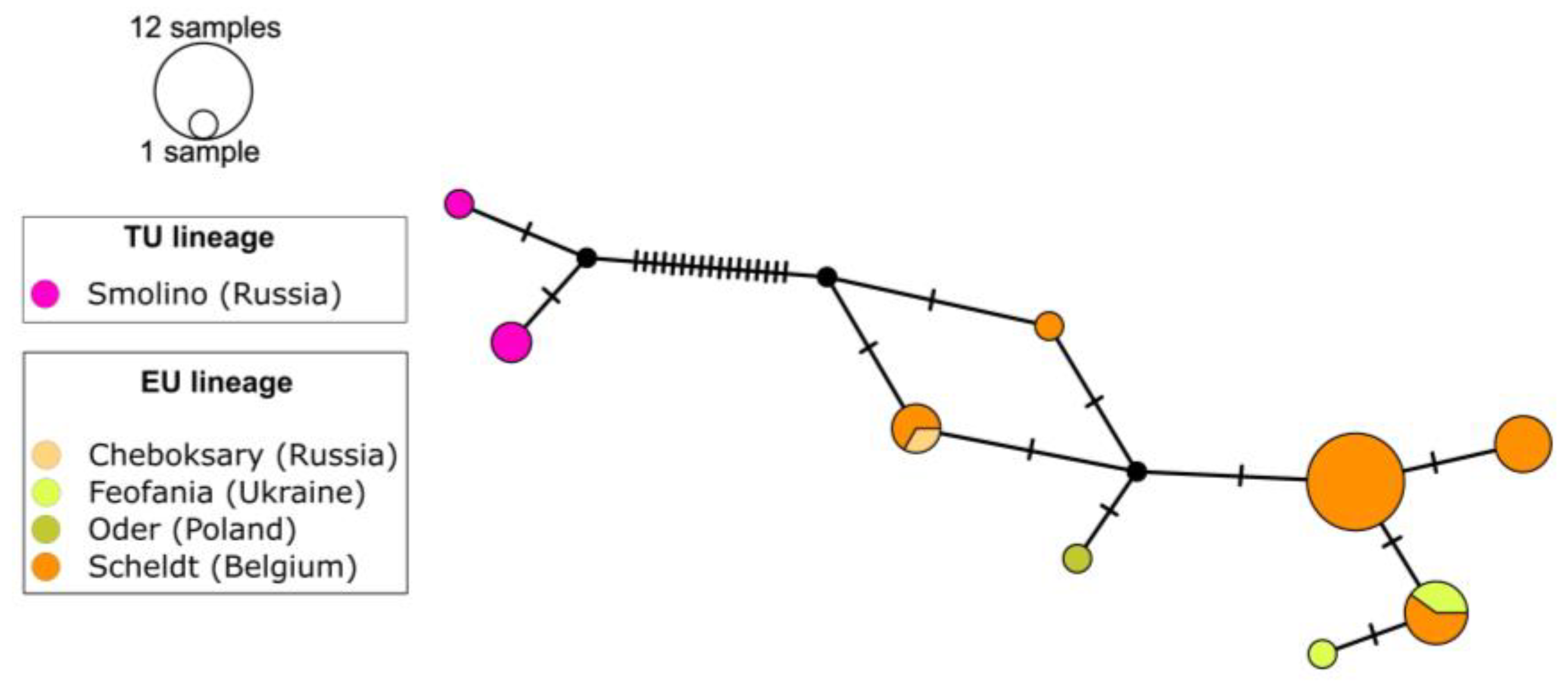 Diversity 16 00483 g004 Diversity 16 00483 g004