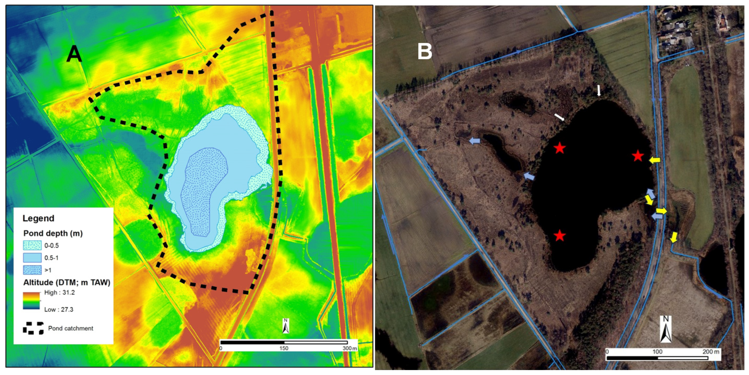Diversity 16 00487 g002 Diversity 16 00487 g002