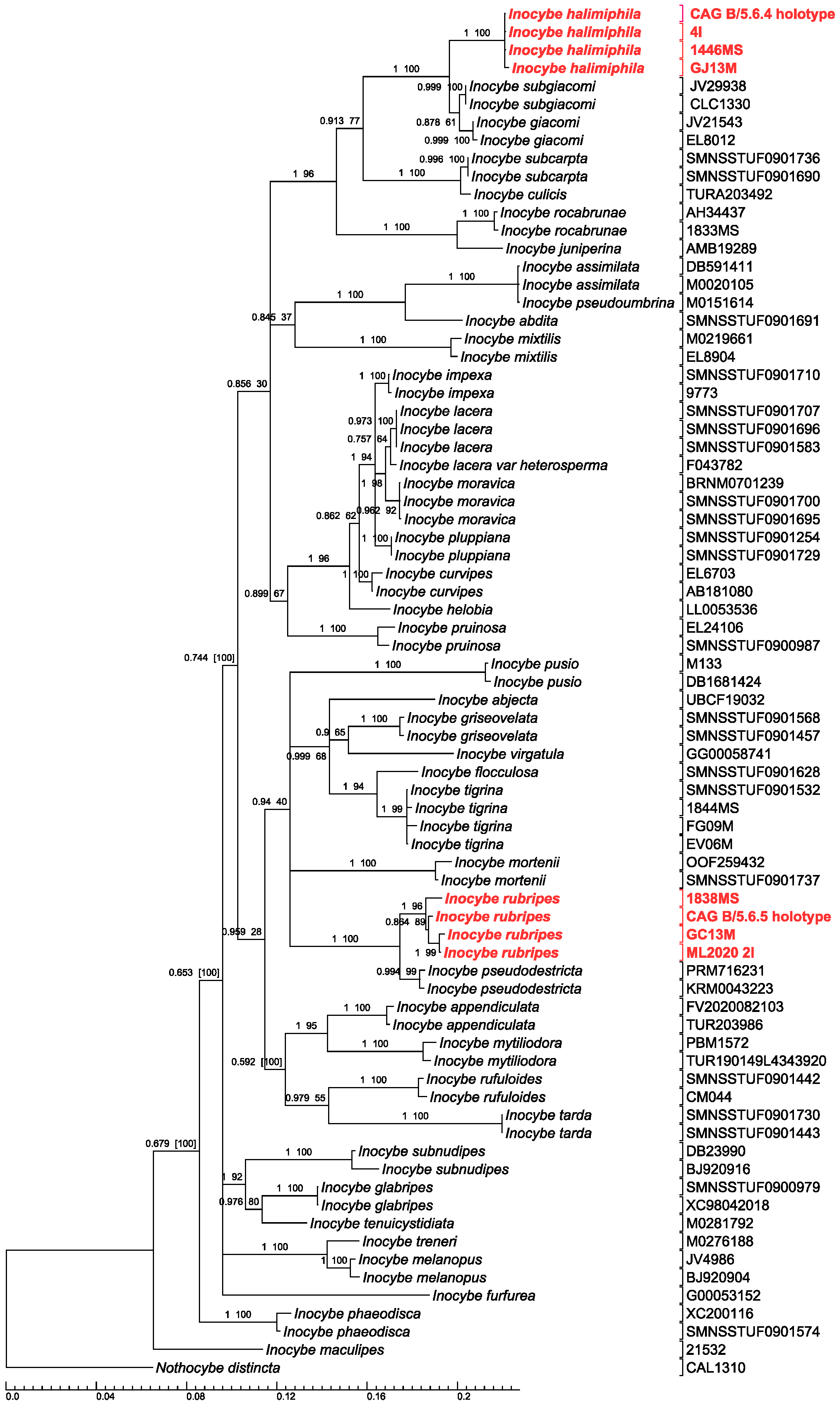 Diversity 16 00505 g003
