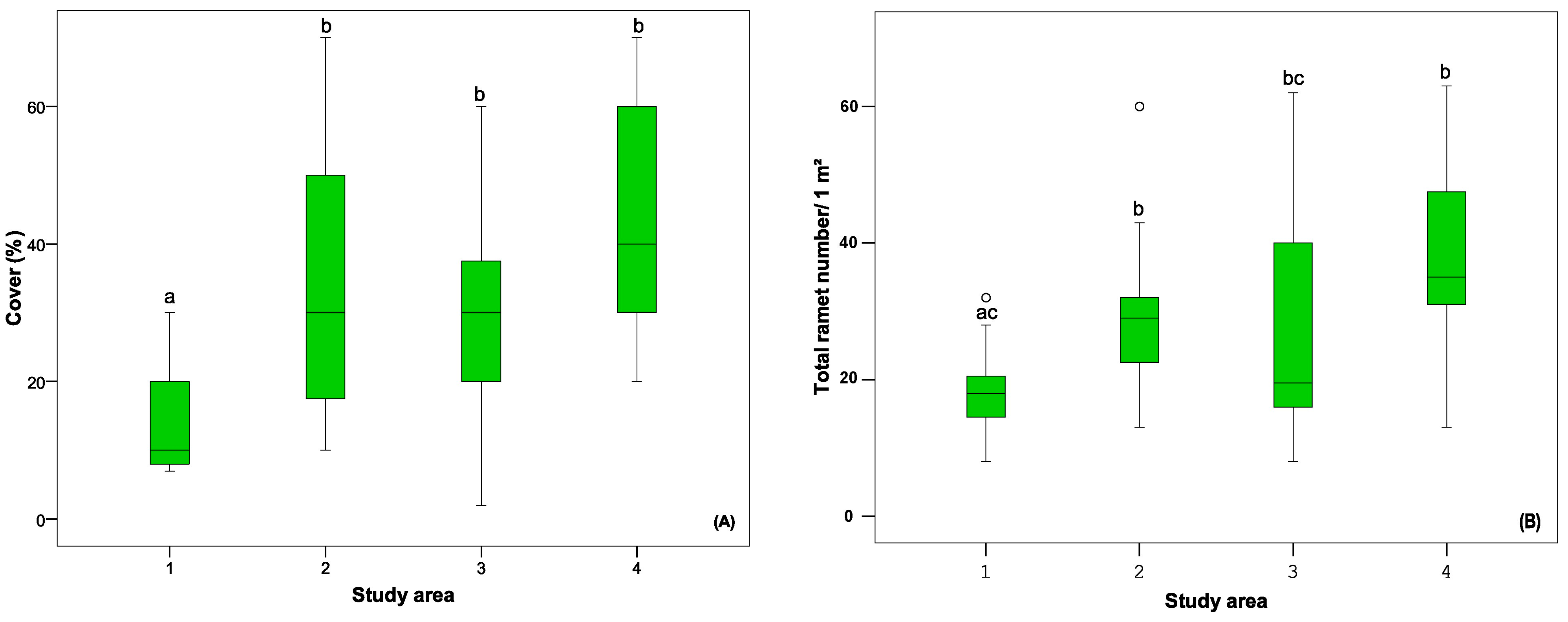 Diversity 16 00512 g004