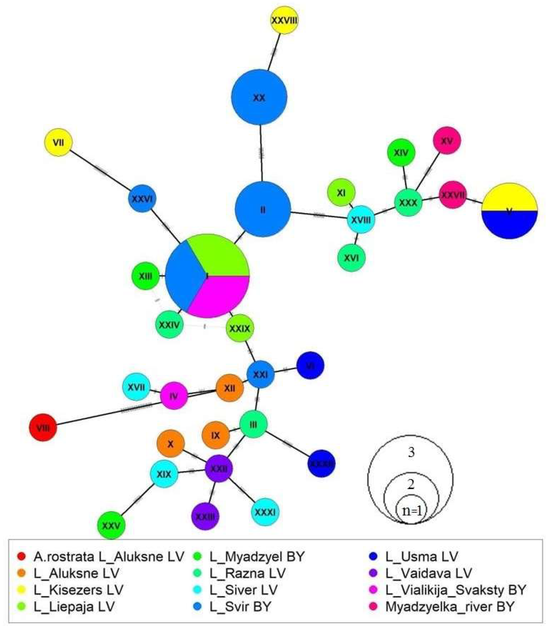 Diversity 16 00522 g005 Diversity 16 00522 g005