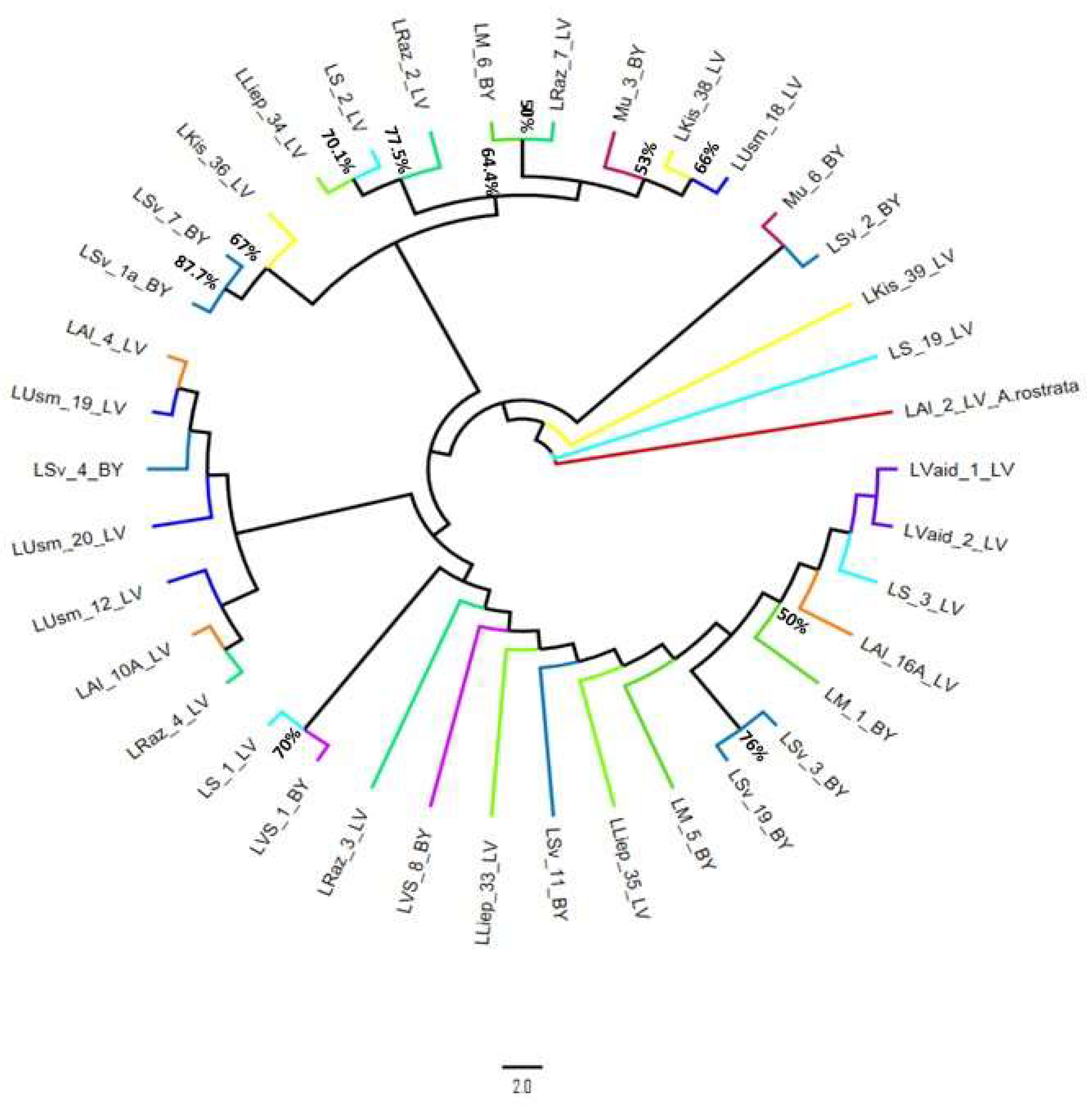 Diversity 16 00522 g006 Diversity 16 00522 g006