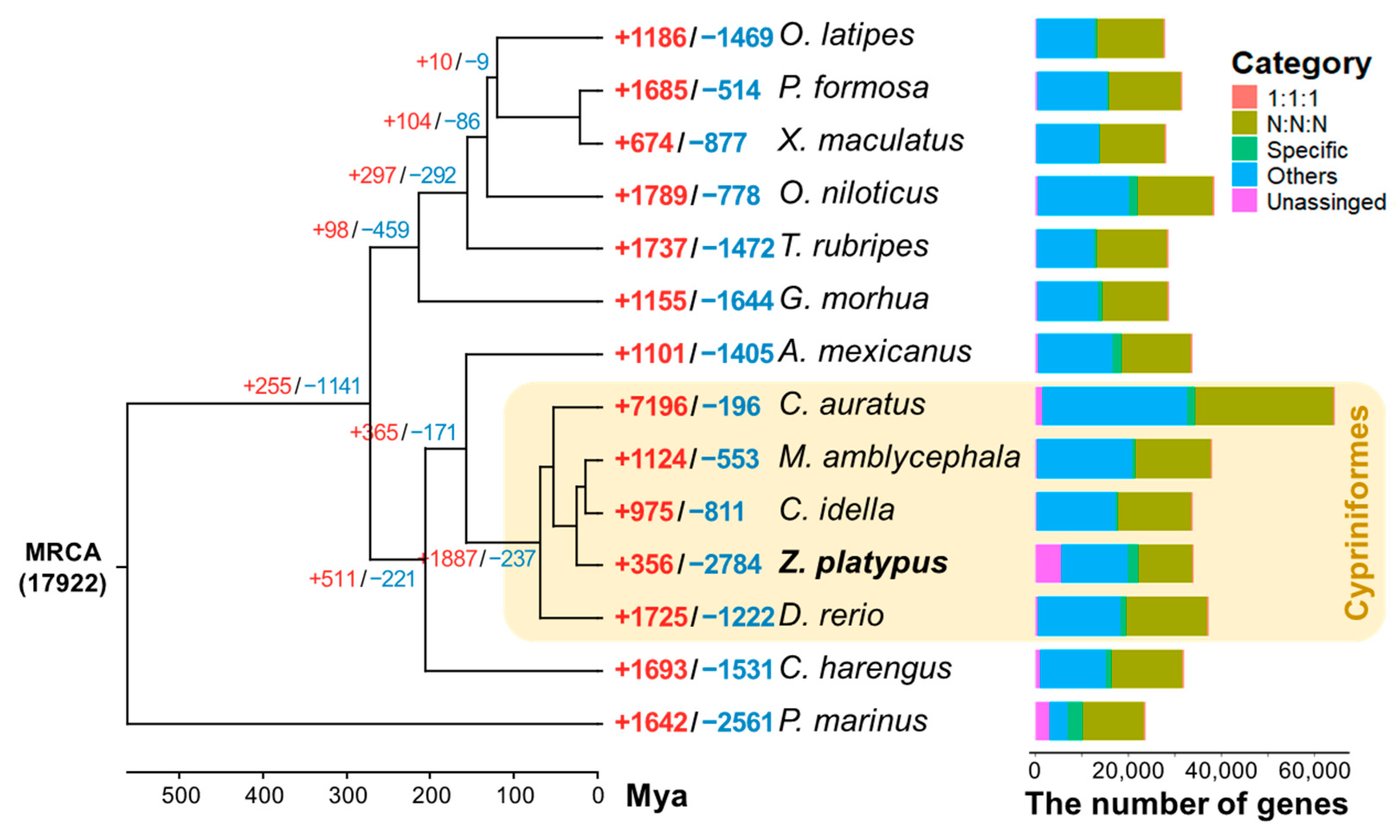 Diversity 16 00529 g004