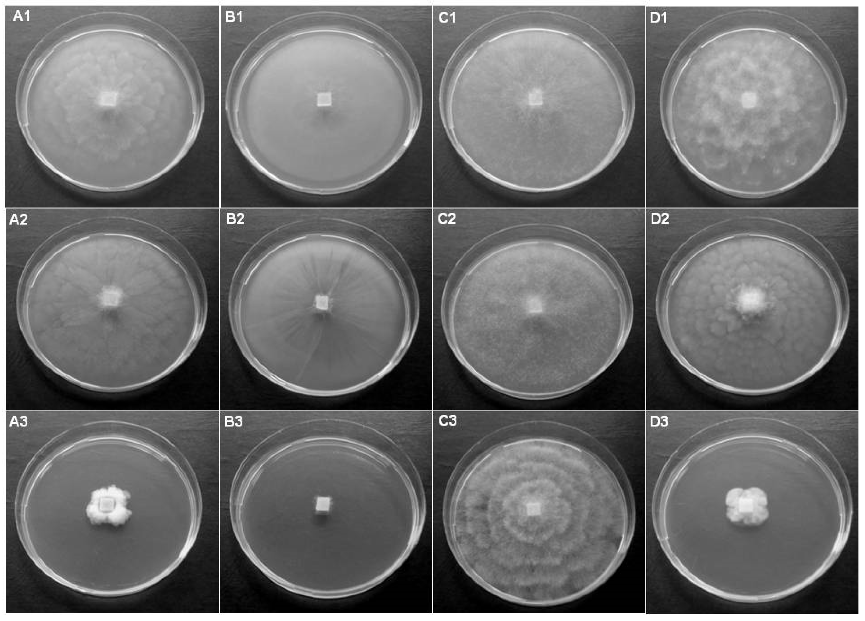 Diversity 16 00530 g002