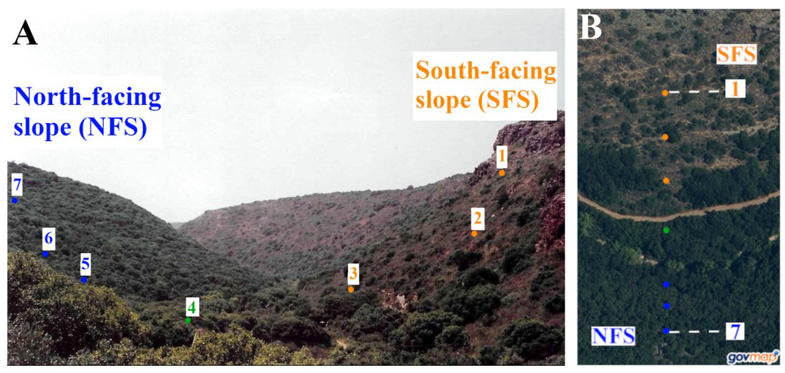 Diversity 16 00540 g002