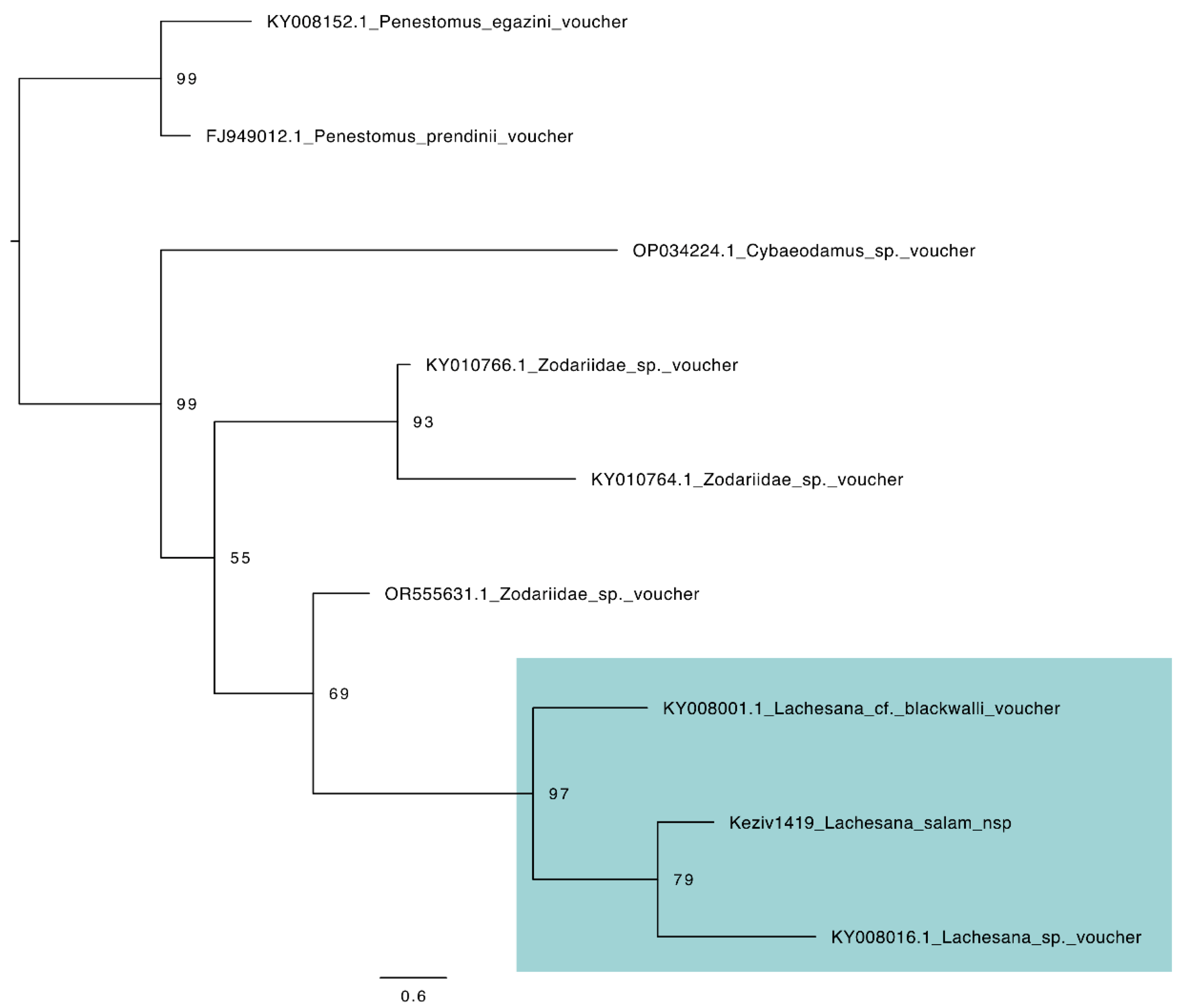 Diversity 16 00540 g0a5