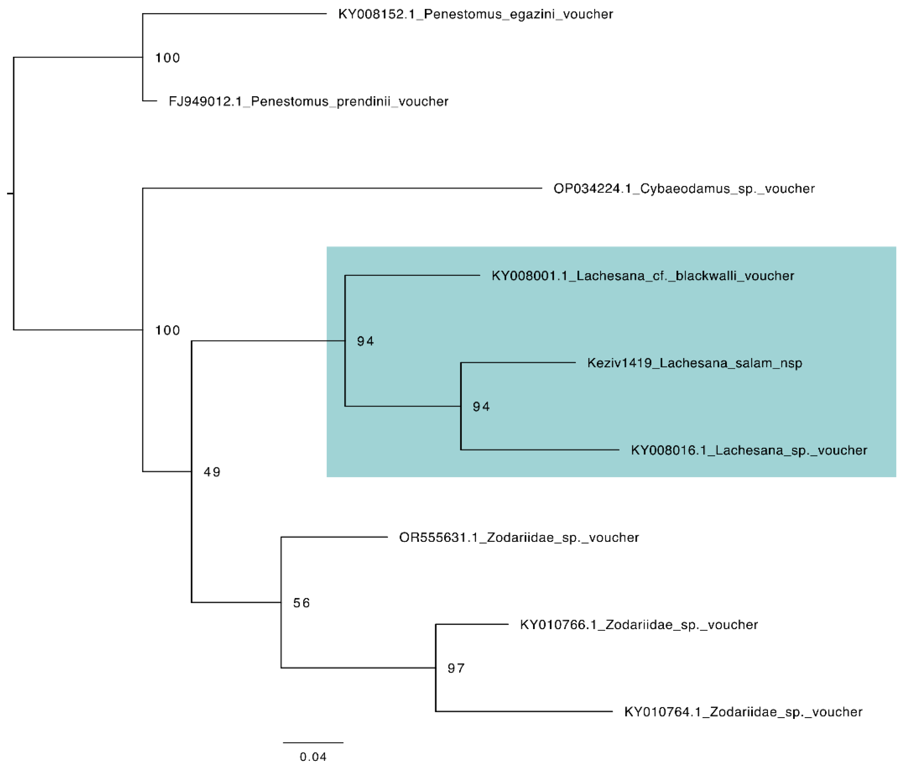 Diversity 16 00540 g0a6