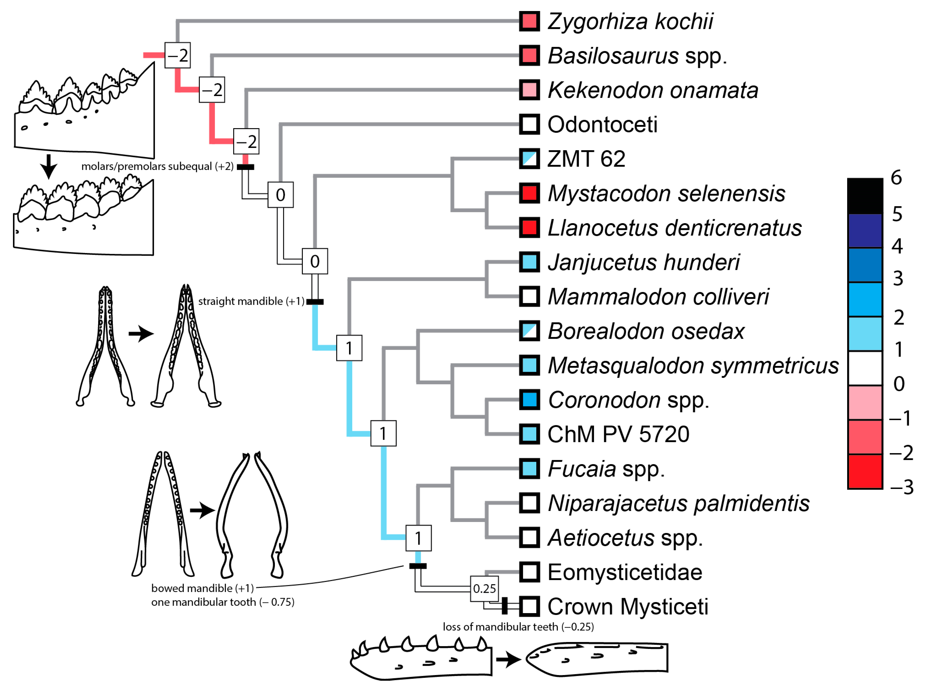 Diversity 16 00549 g007
