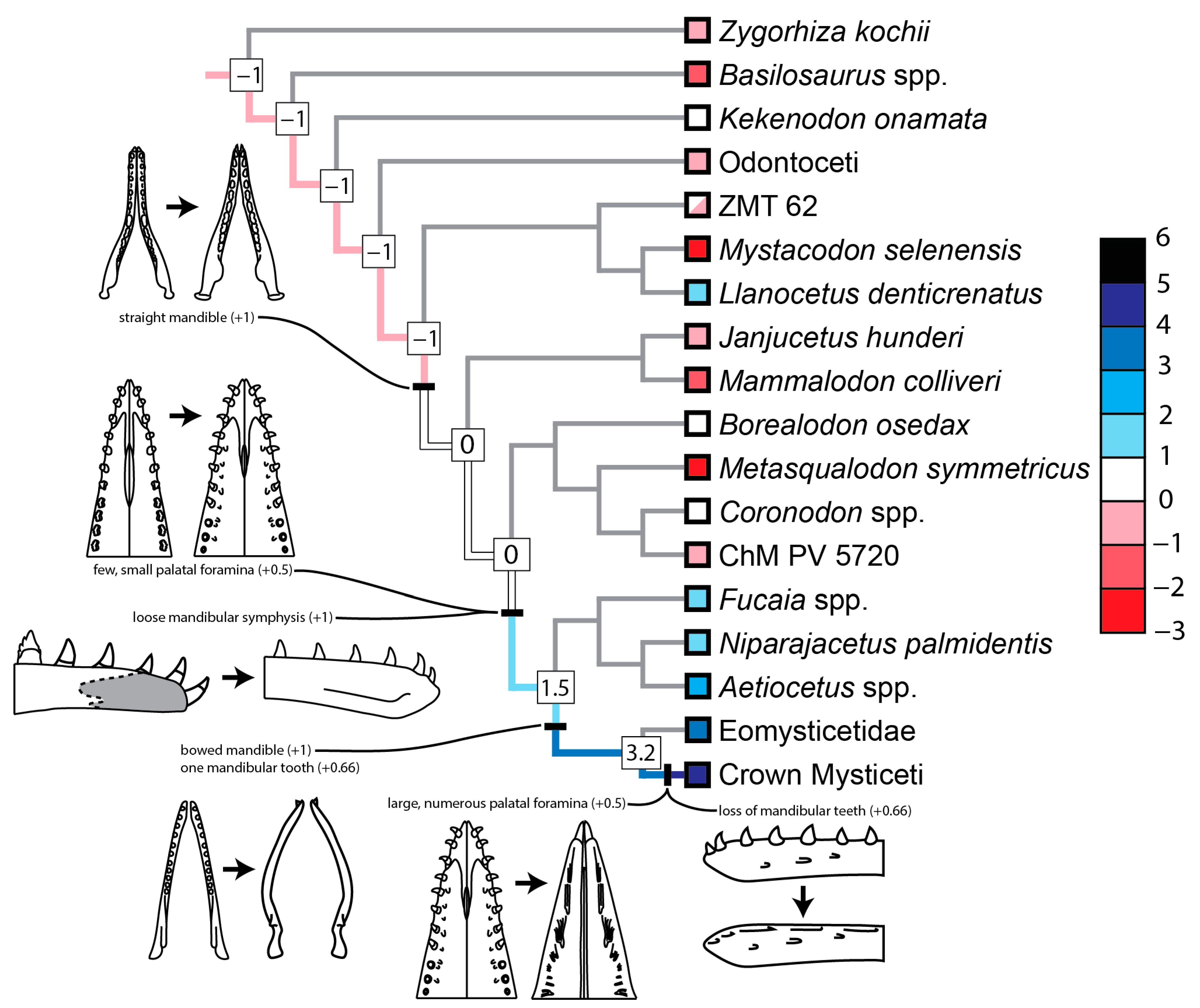 Diversity 16 00549 g008