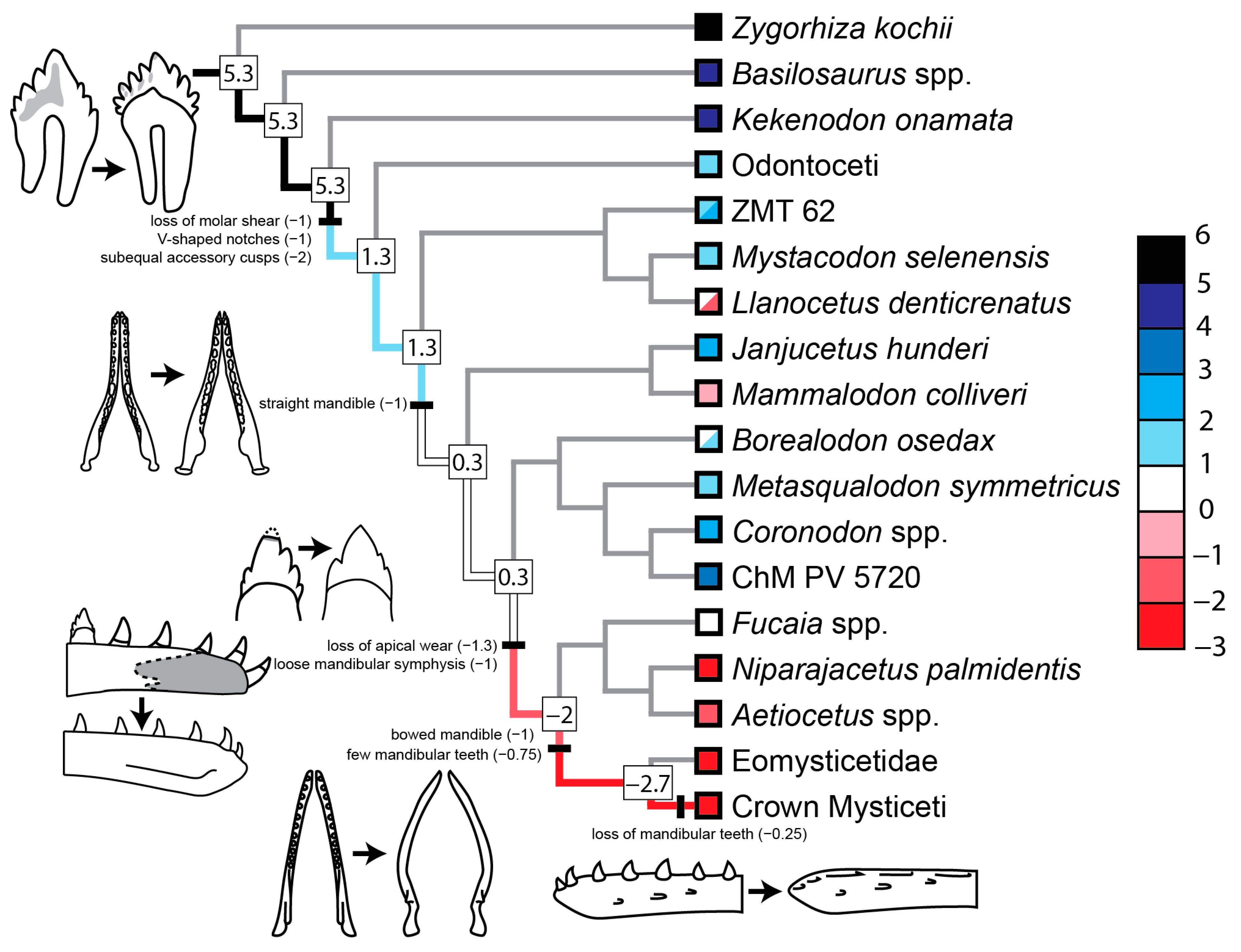 Diversity 16 00549 g011