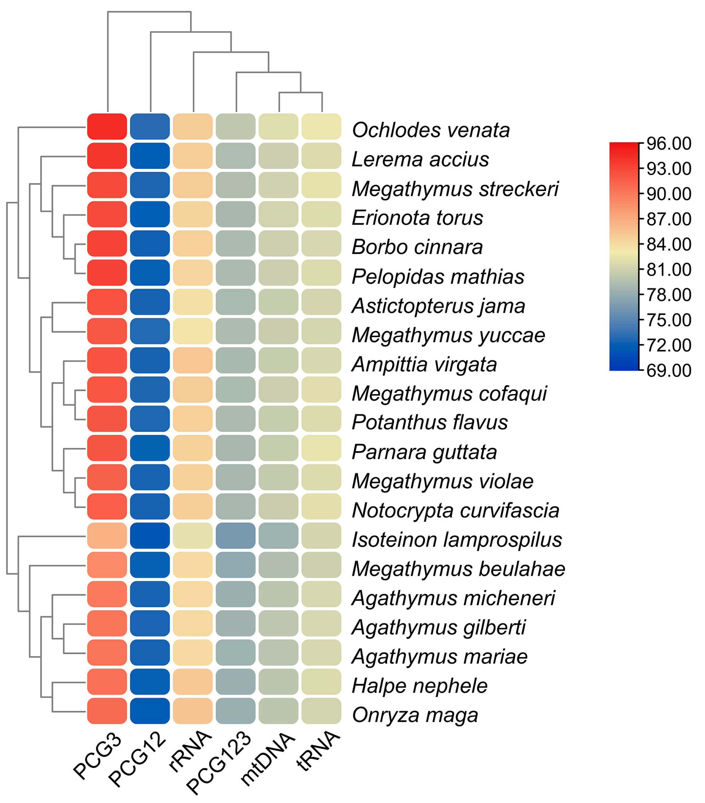 Diversity 16 00560 g004
