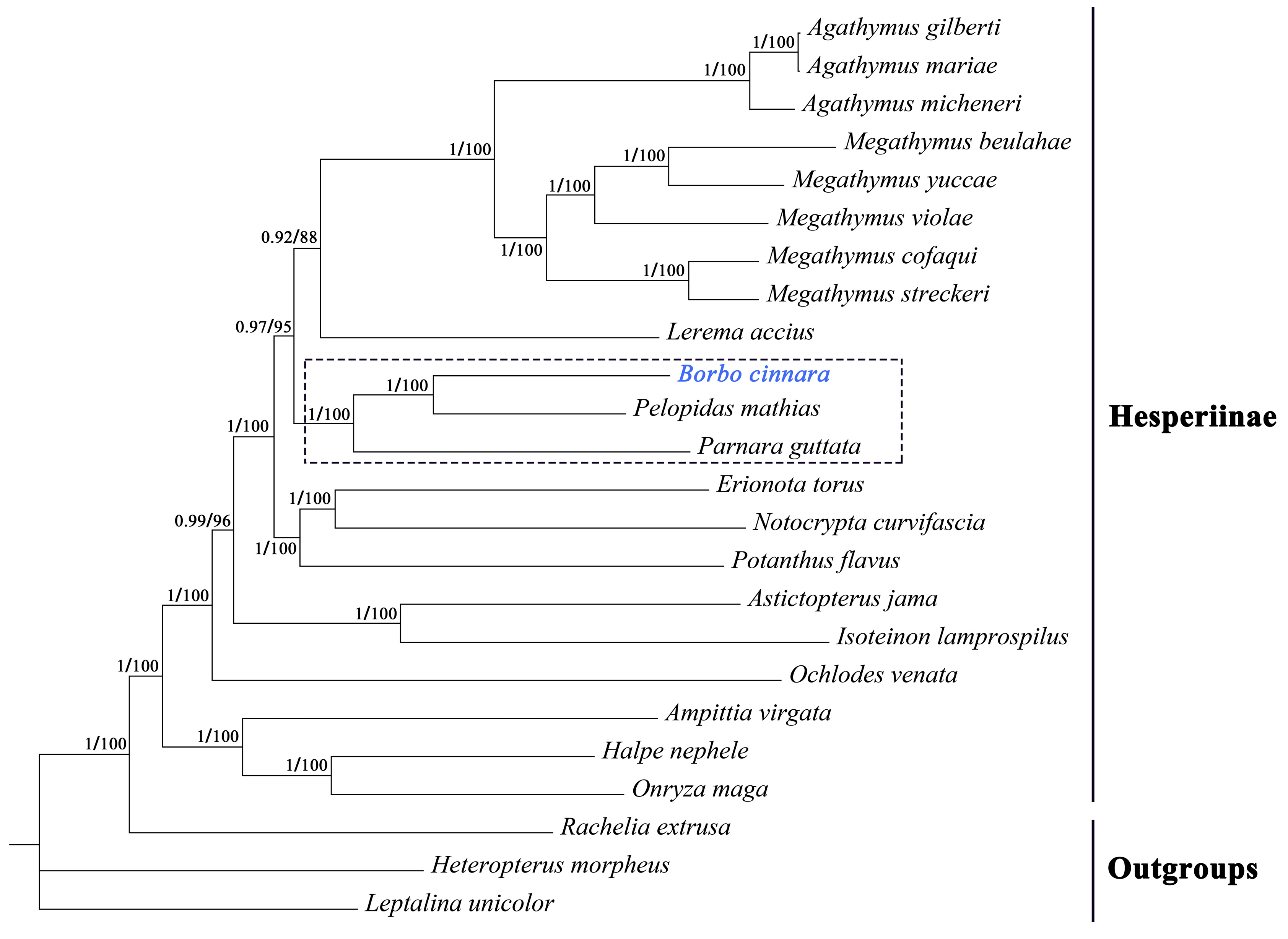 Diversity 16 00560 g008