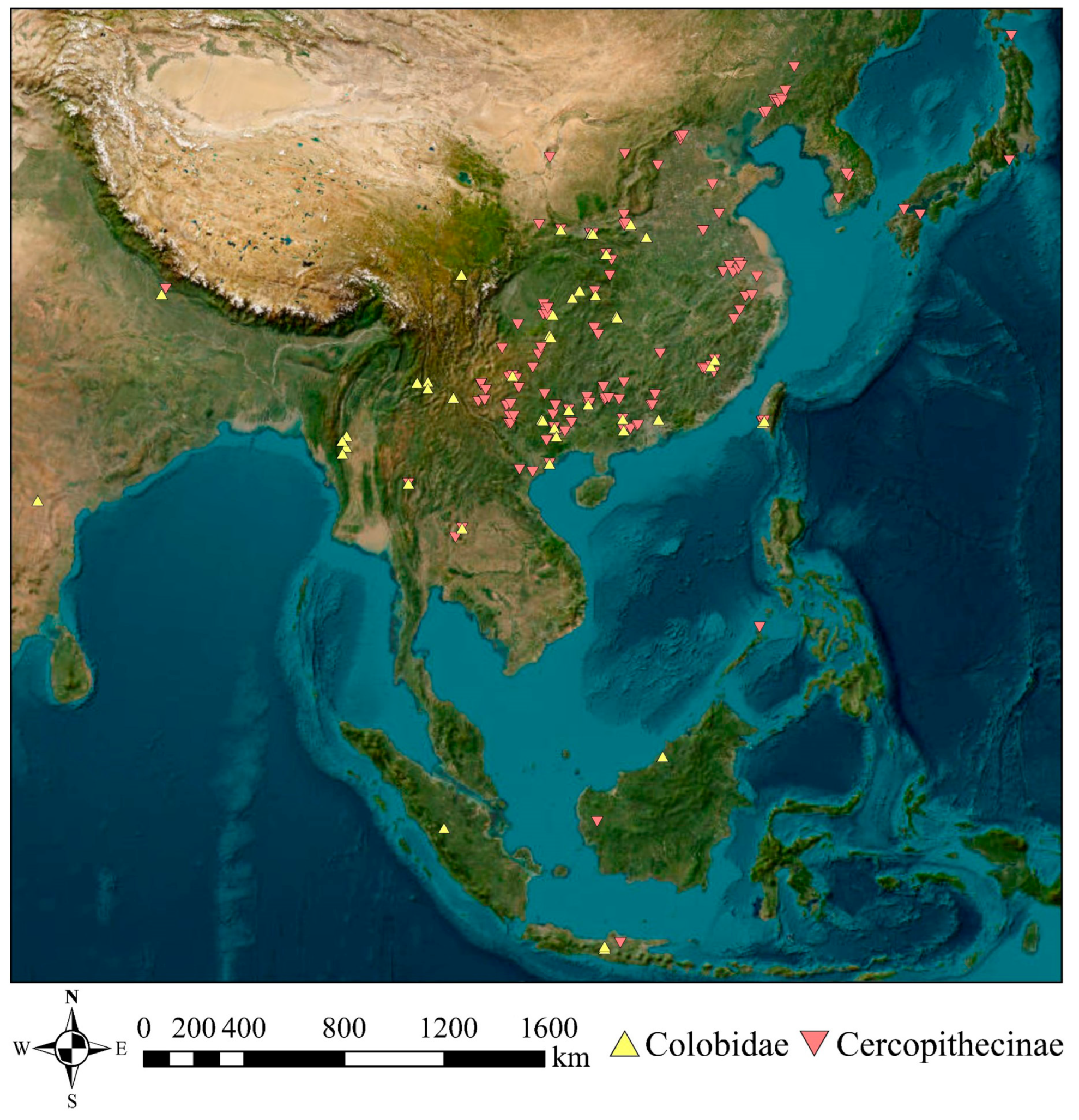 Diversity 16 00565 g005 Diversity 16 00565 g005