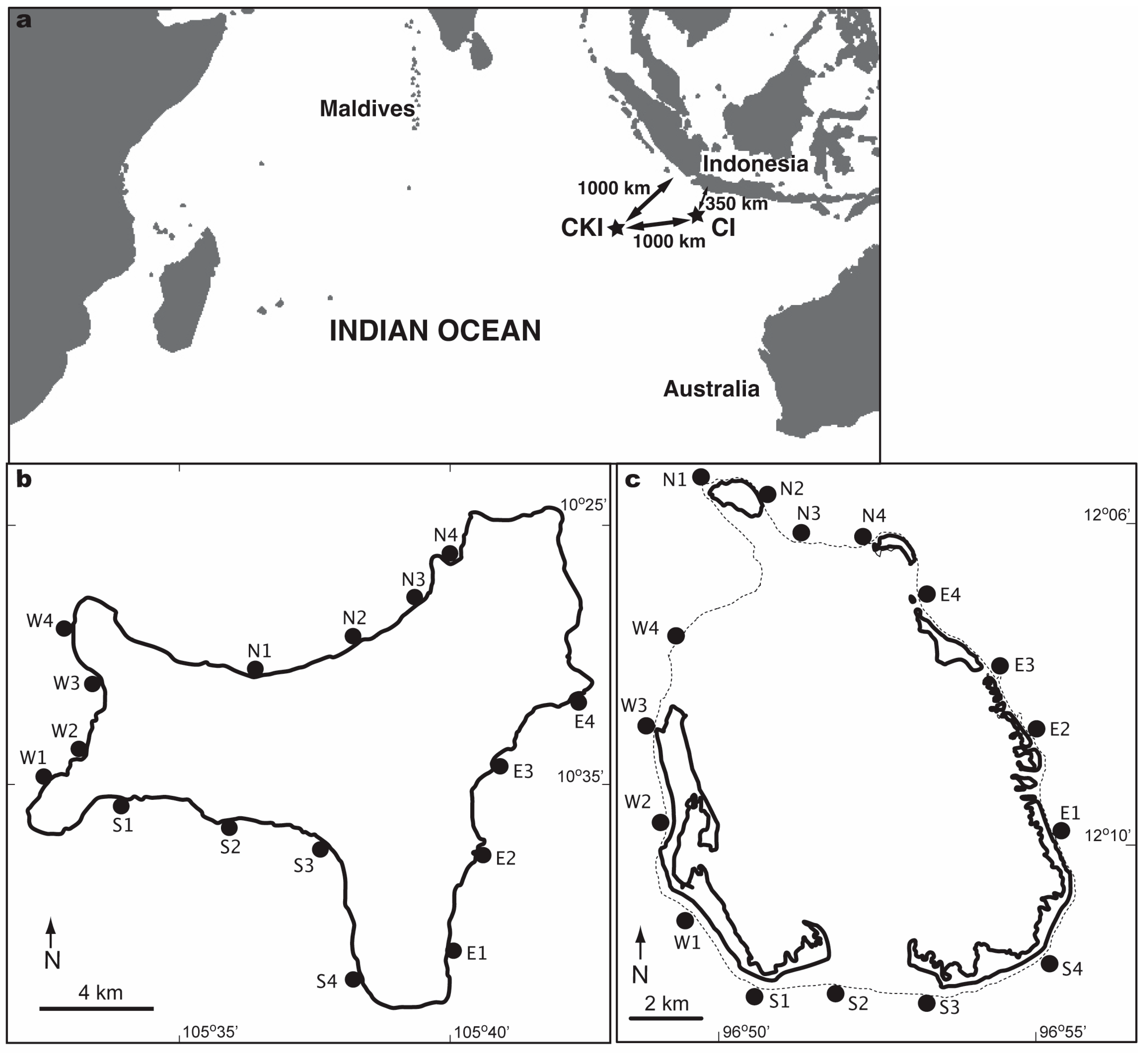 Diversity 16 00569 g001 Diversity 16 00569 g001