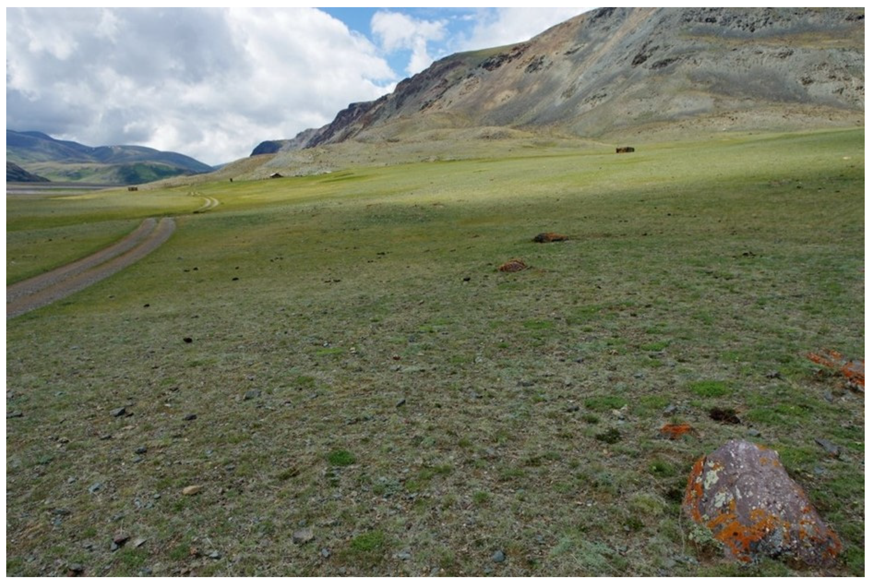 Diversity 16 00570 g005