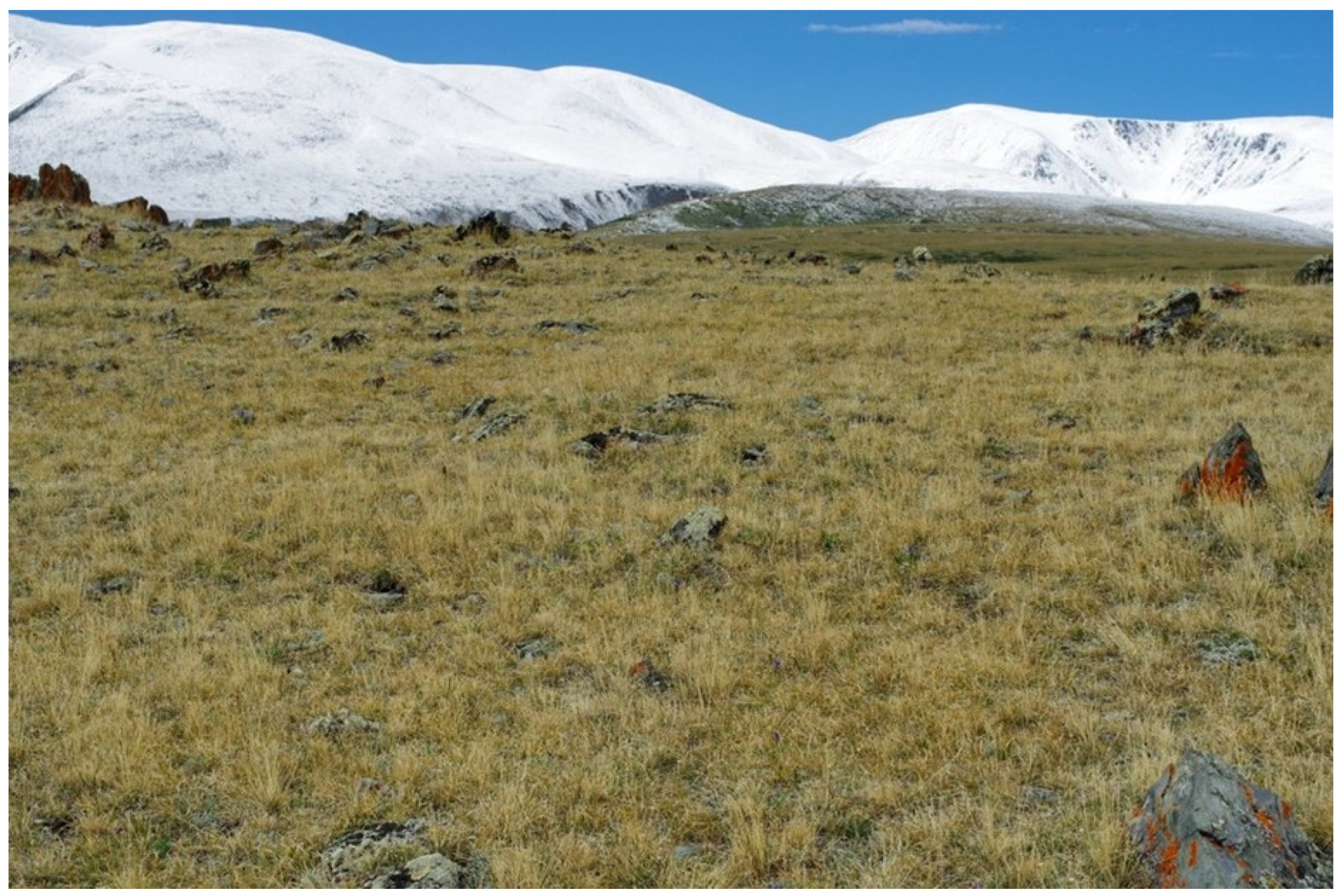 Diversity 16 00570 g006