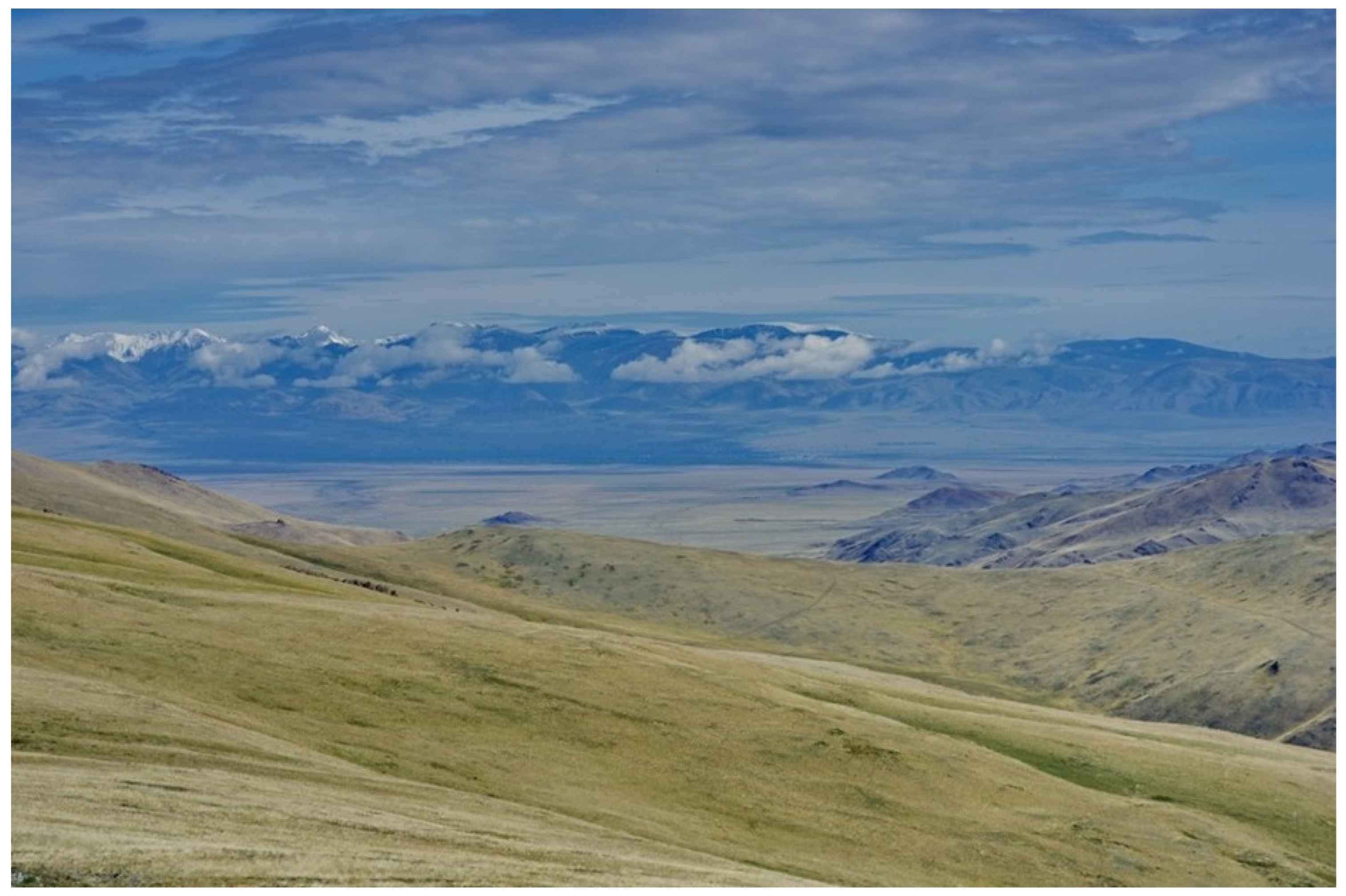 Diversity 16 00570 g008