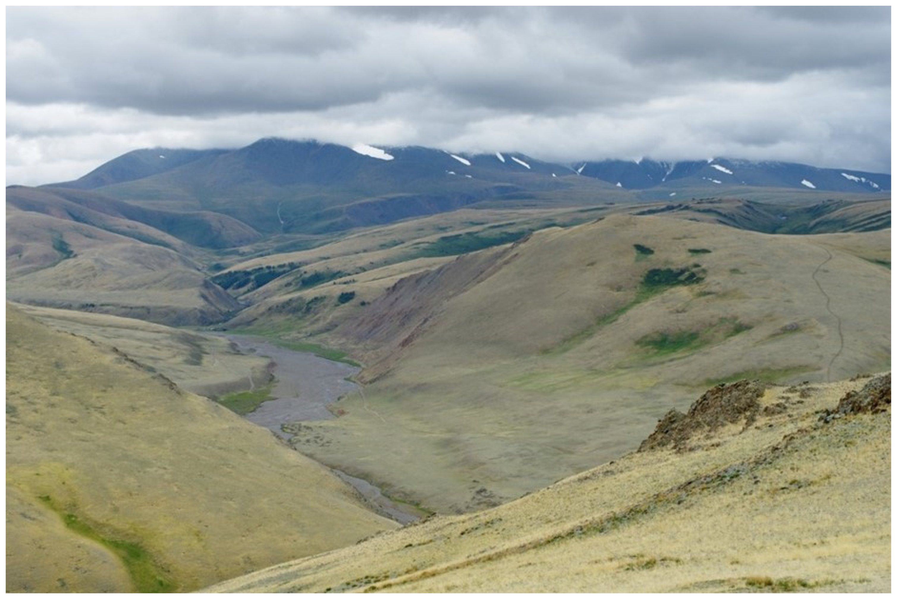 Diversity 16 00570 g012