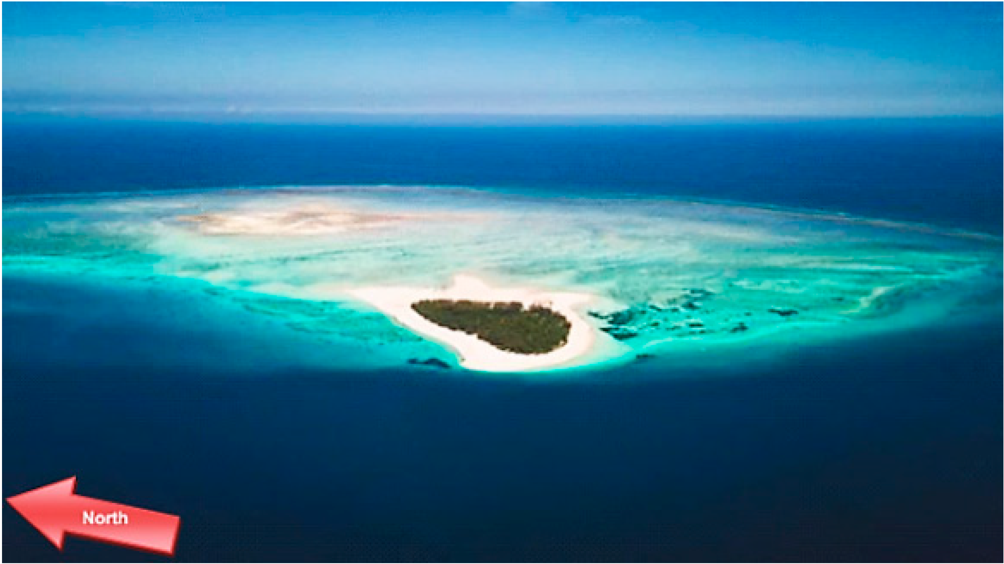 Diversity 16 00579 g002 Diversity 16 00579 g002