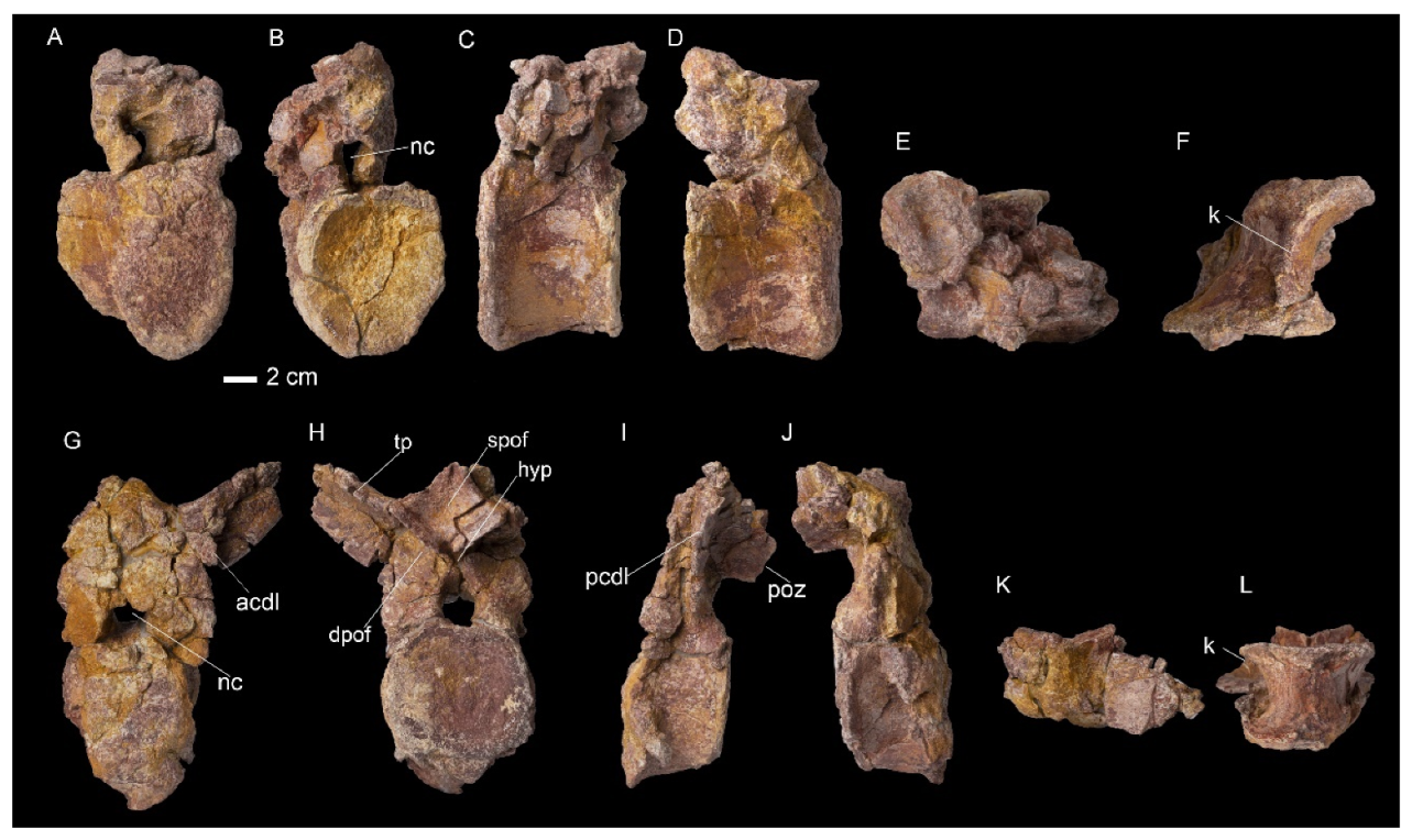 Diversity 16 00586 g005