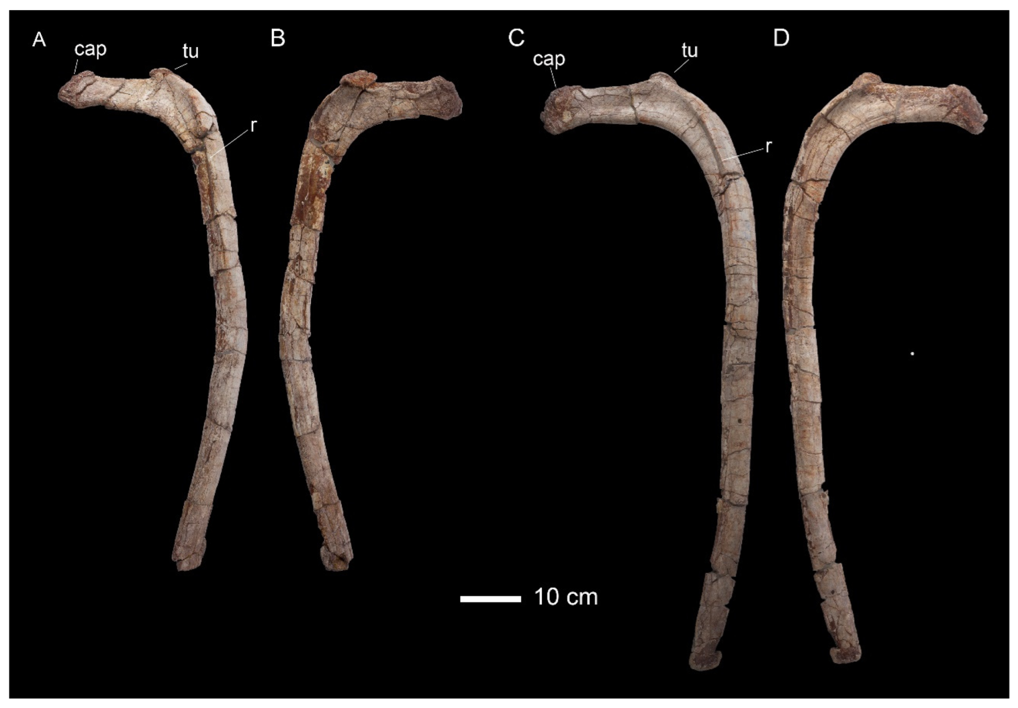 Diversity 16 00586 g008