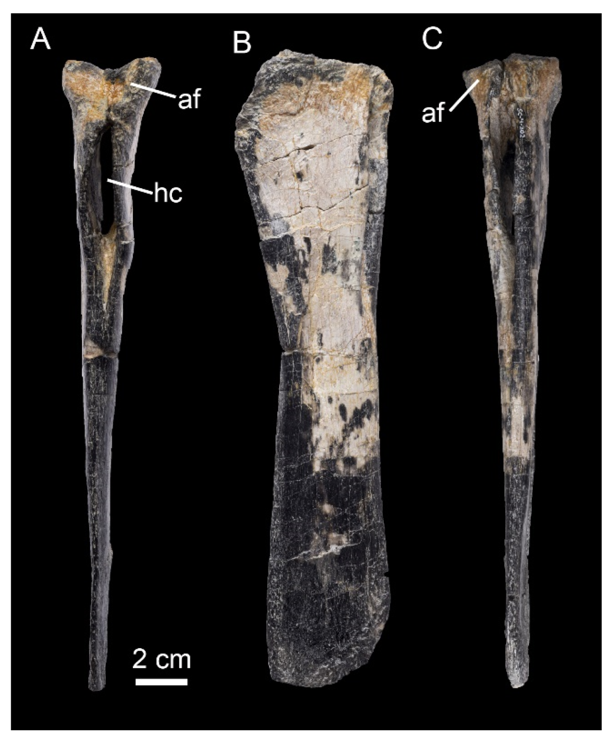 Diversity 16 00586 g009