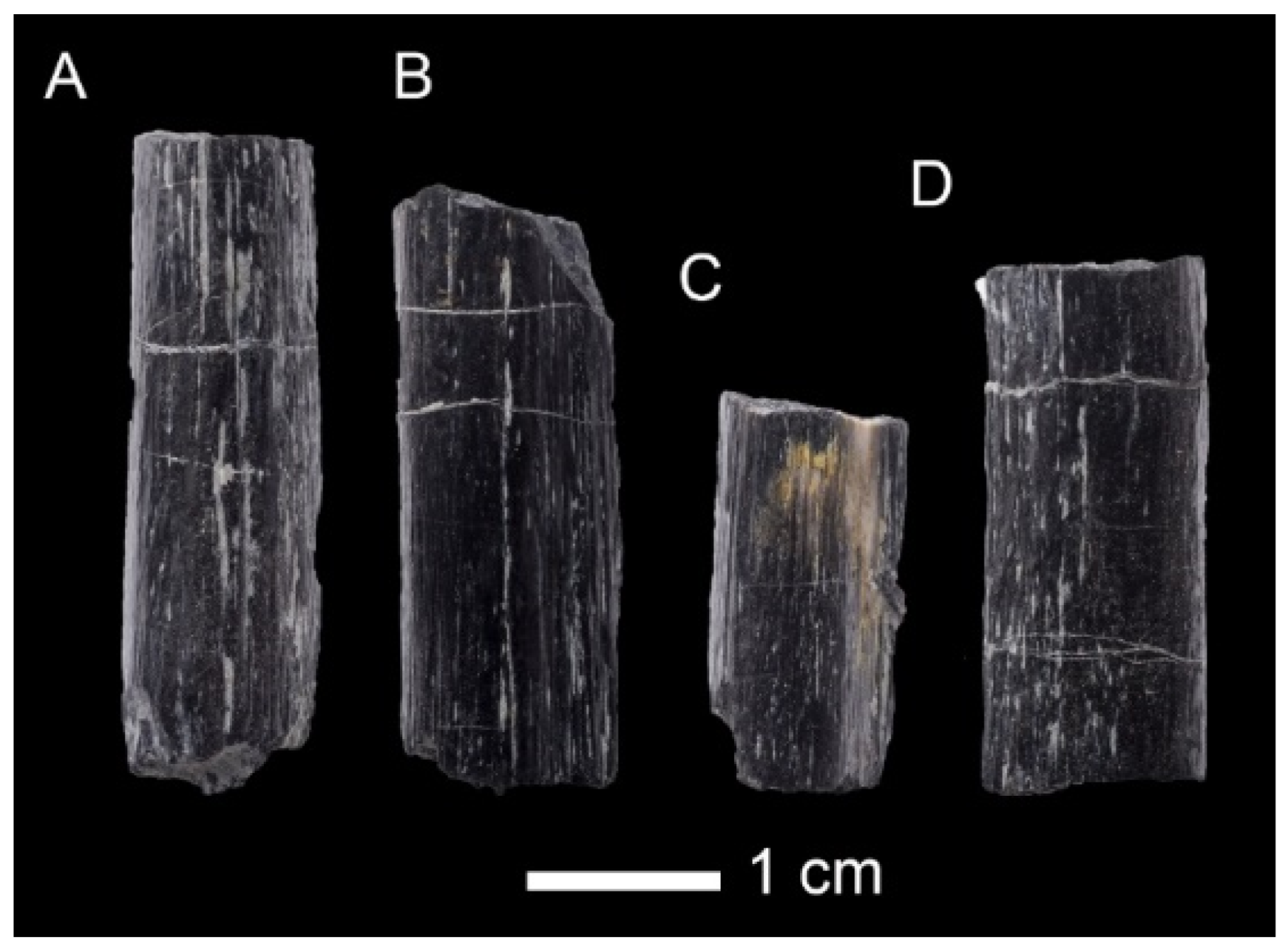 Diversity 16 00586 g010