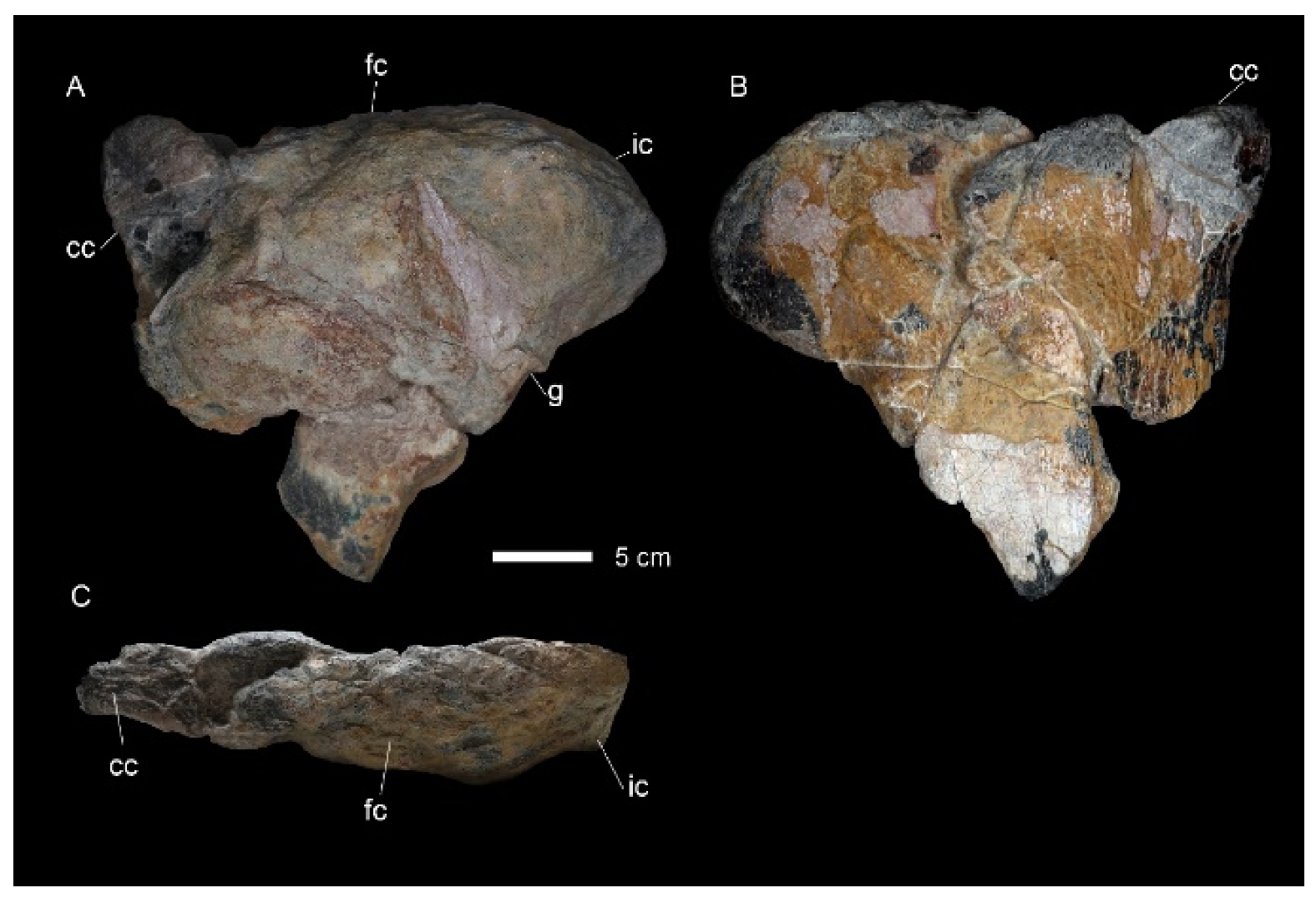 Diversity 16 00586 g013