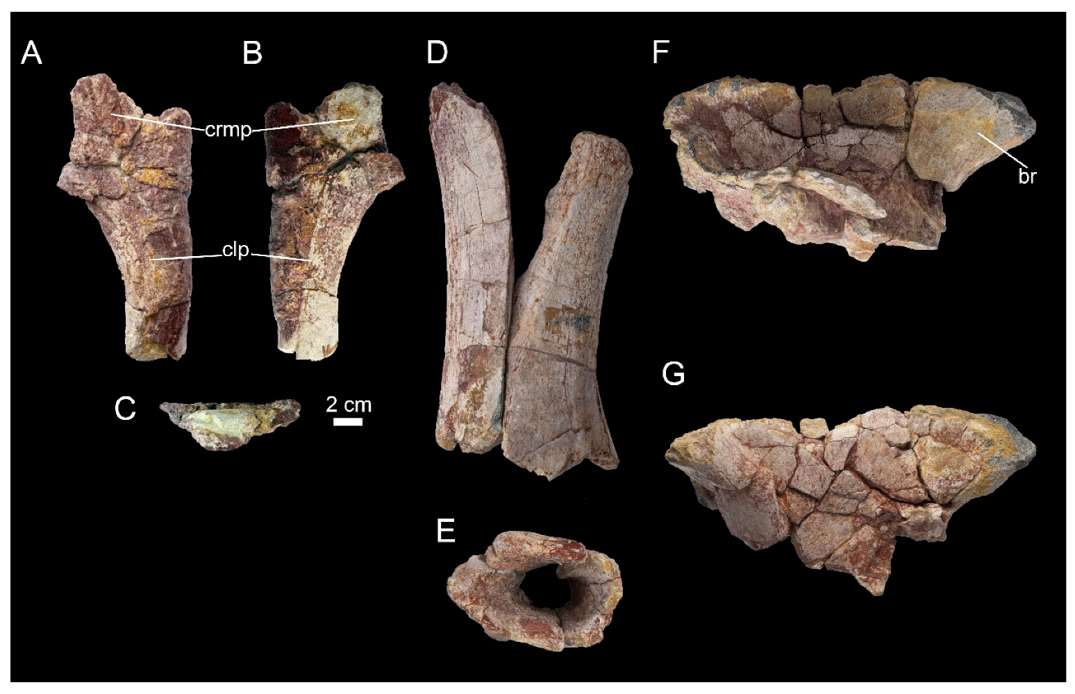 Diversity 16 00586 g014