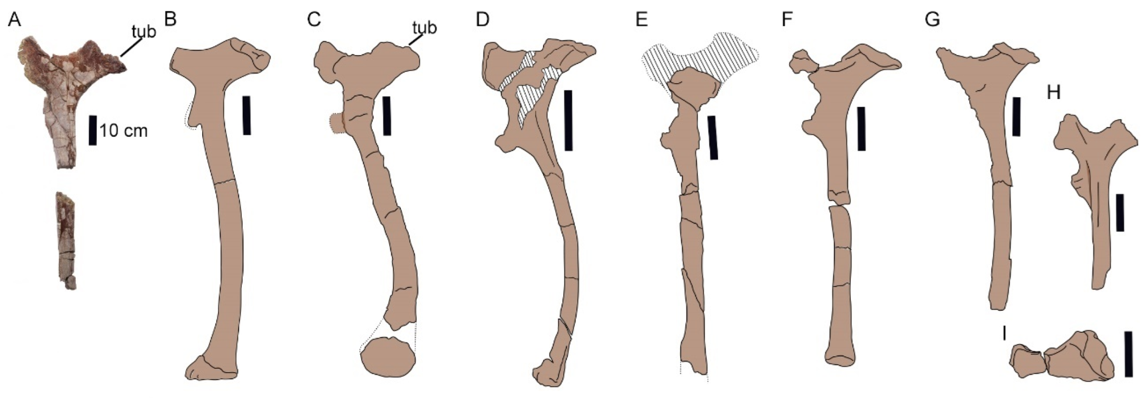 Diversity 16 00586 g016