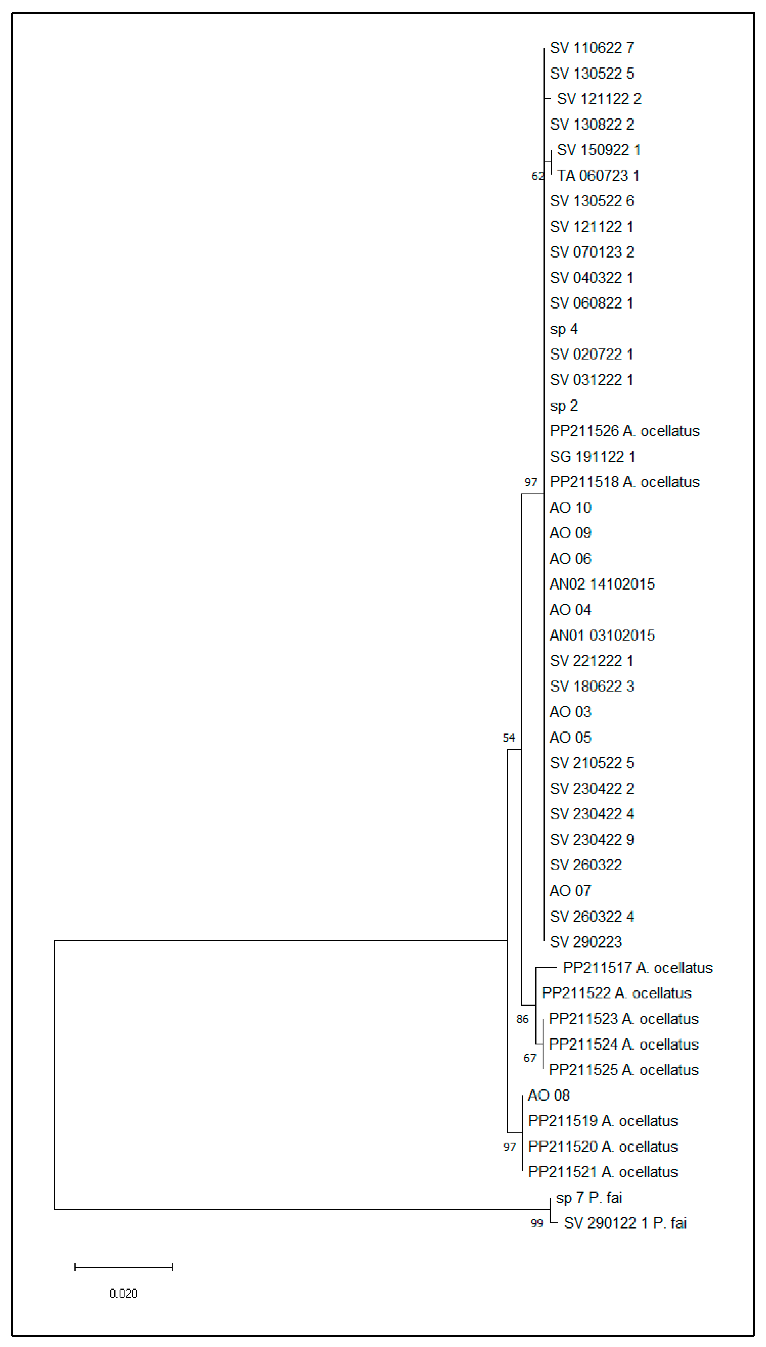 Diversity 16 00588 g002
