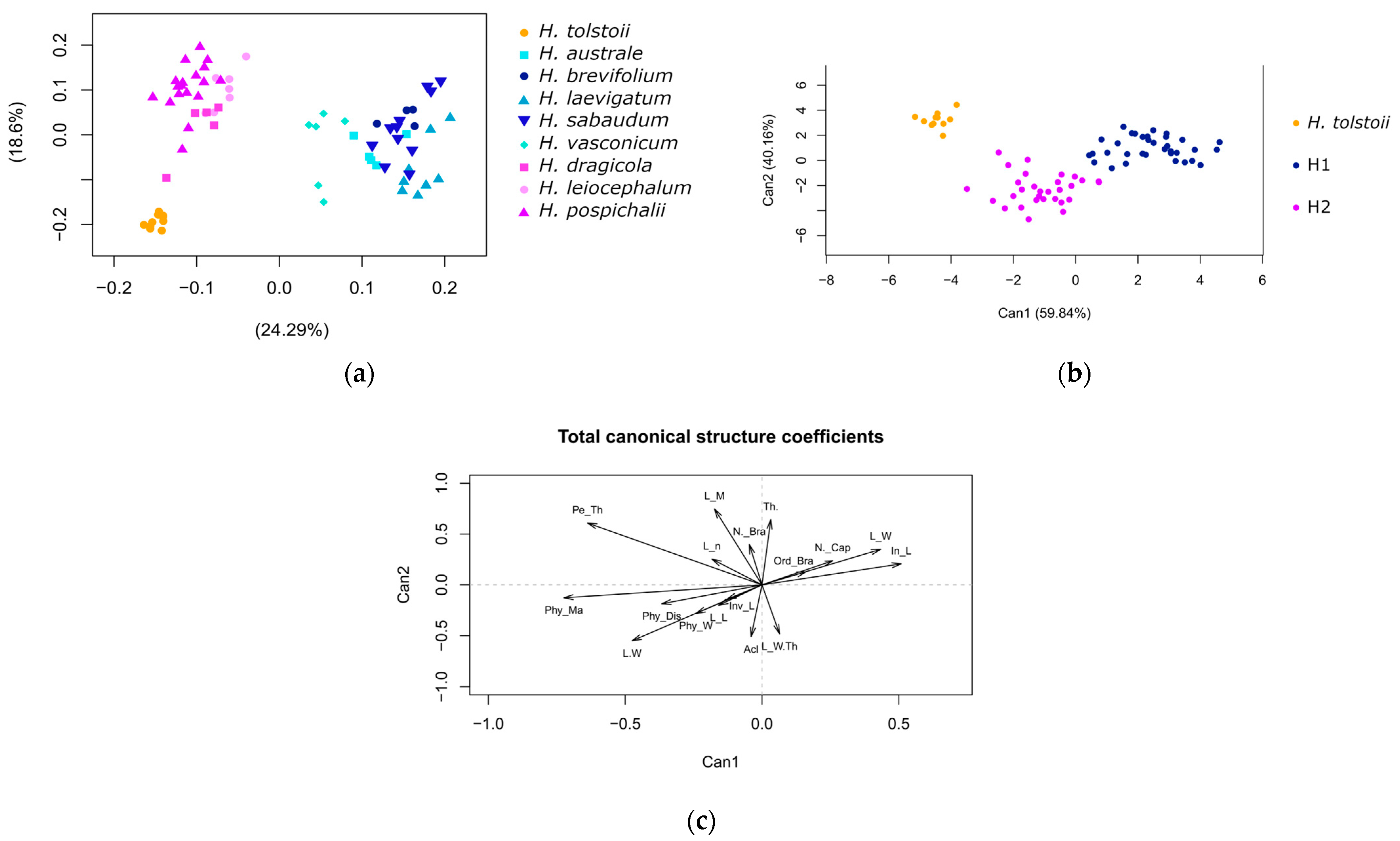 Diversity 16 00591 g001 Diversity 16 00591 g001