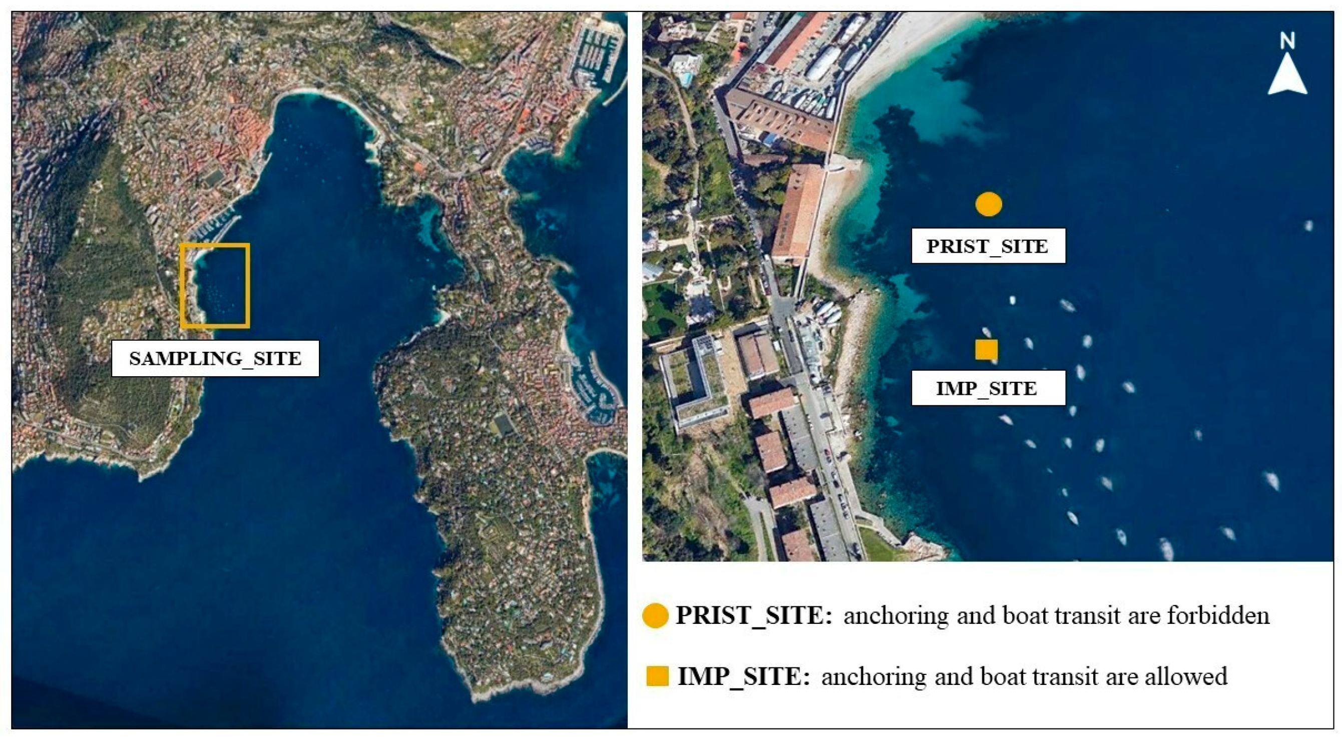 Diversity 16 00604 g001