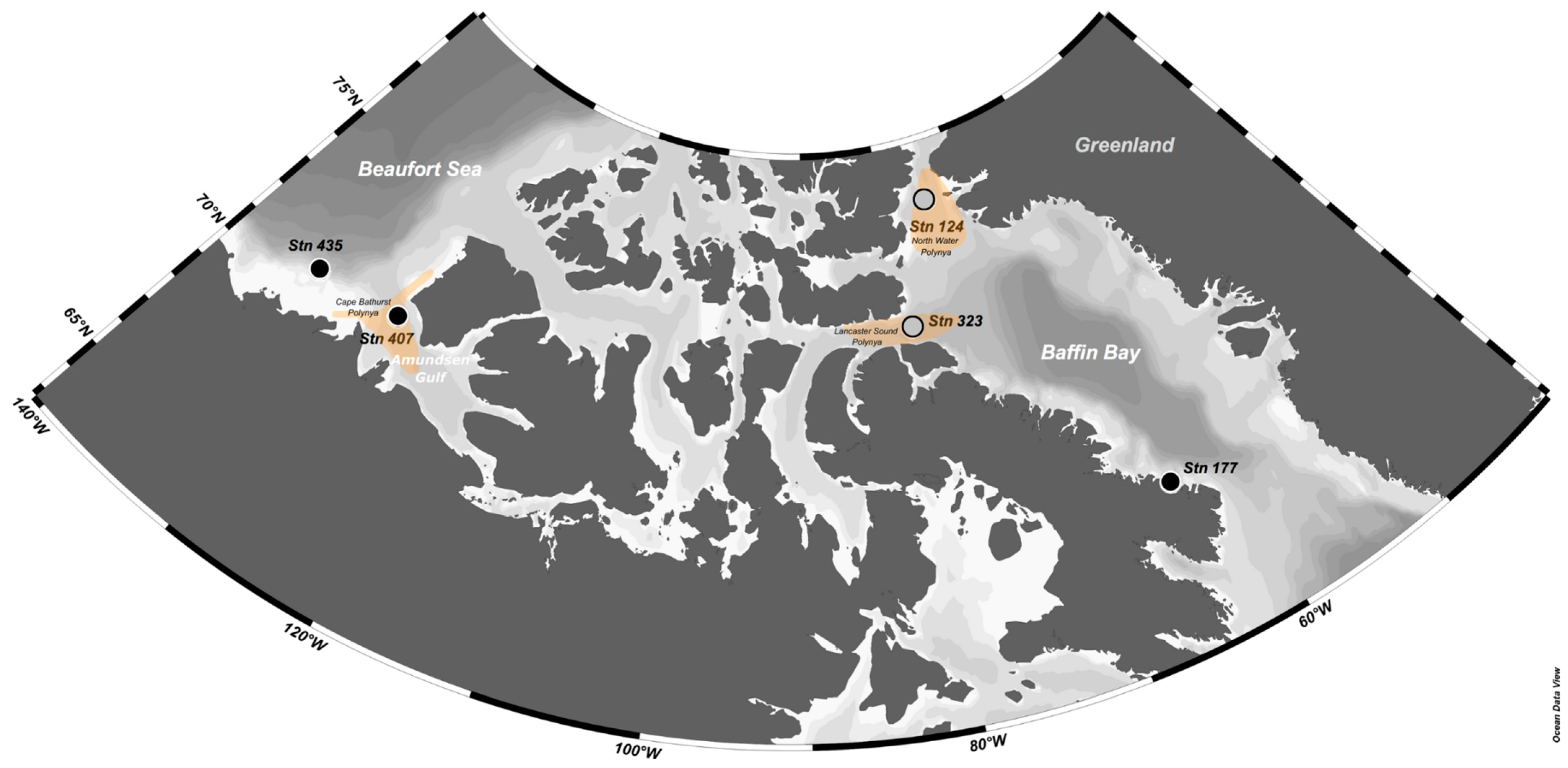 Diversity 16 00605 g001 Diversity 16 00605 g001