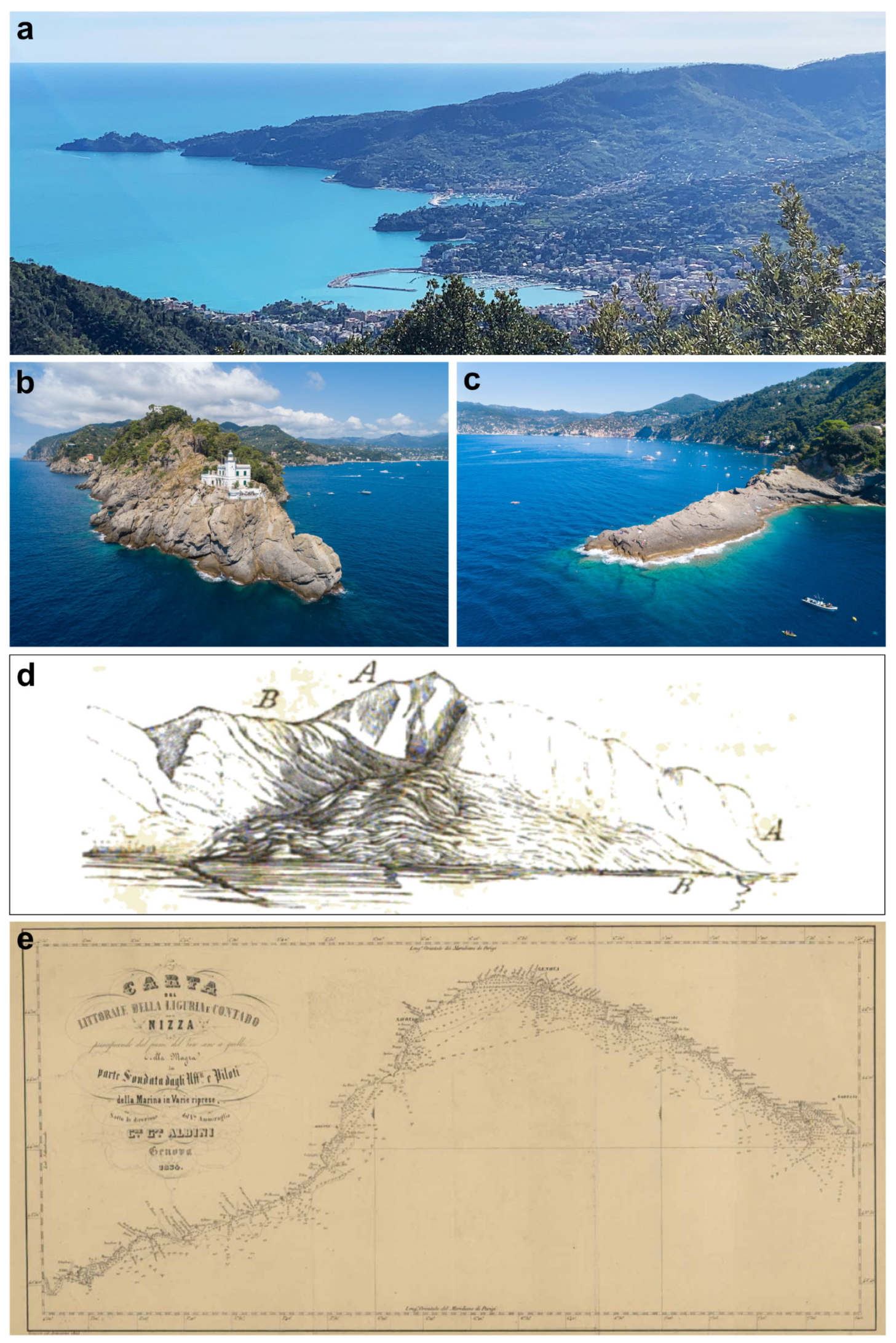 Diversity 16 00629 g001 Diversity 16 00629 g001