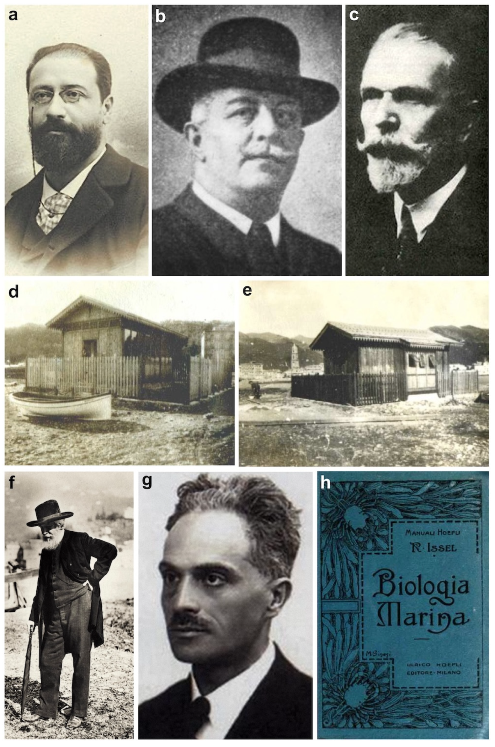 Diversity 16 00629 g002 Diversity 16 00629 g002