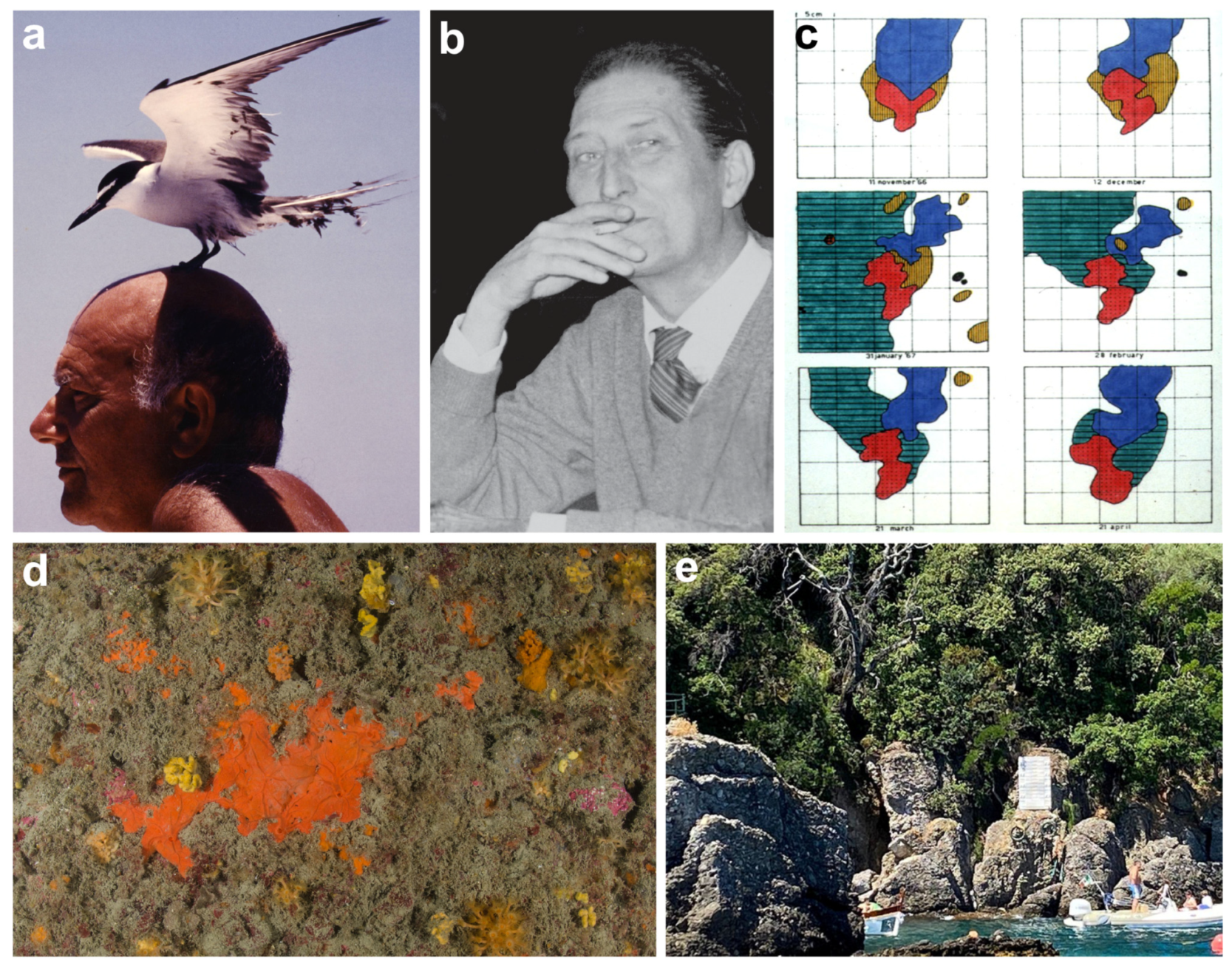 Diversity 16 00629 g004 Diversity 16 00629 g004