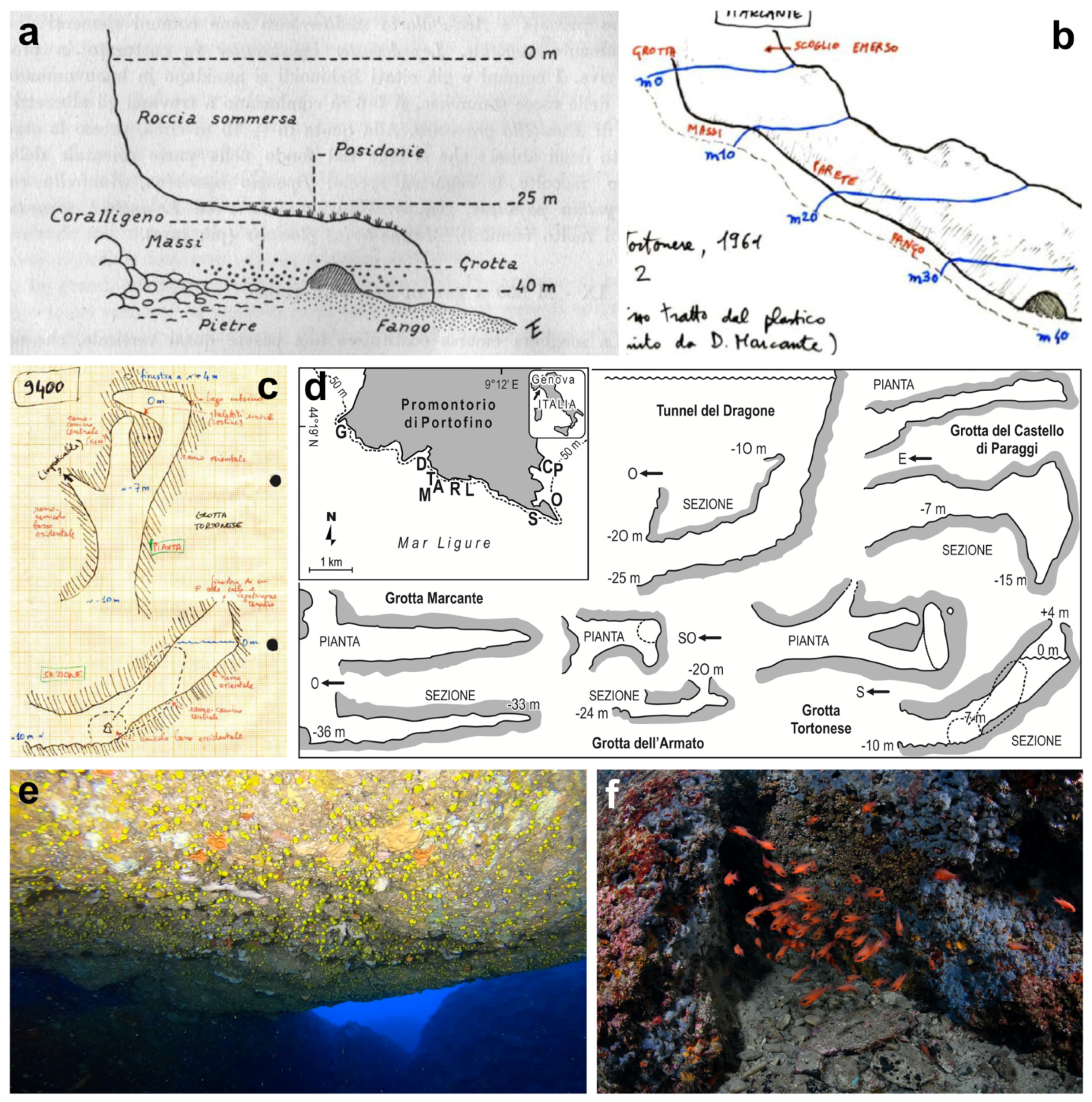Diversity 16 00629 g009 Diversity 16 00629 g009