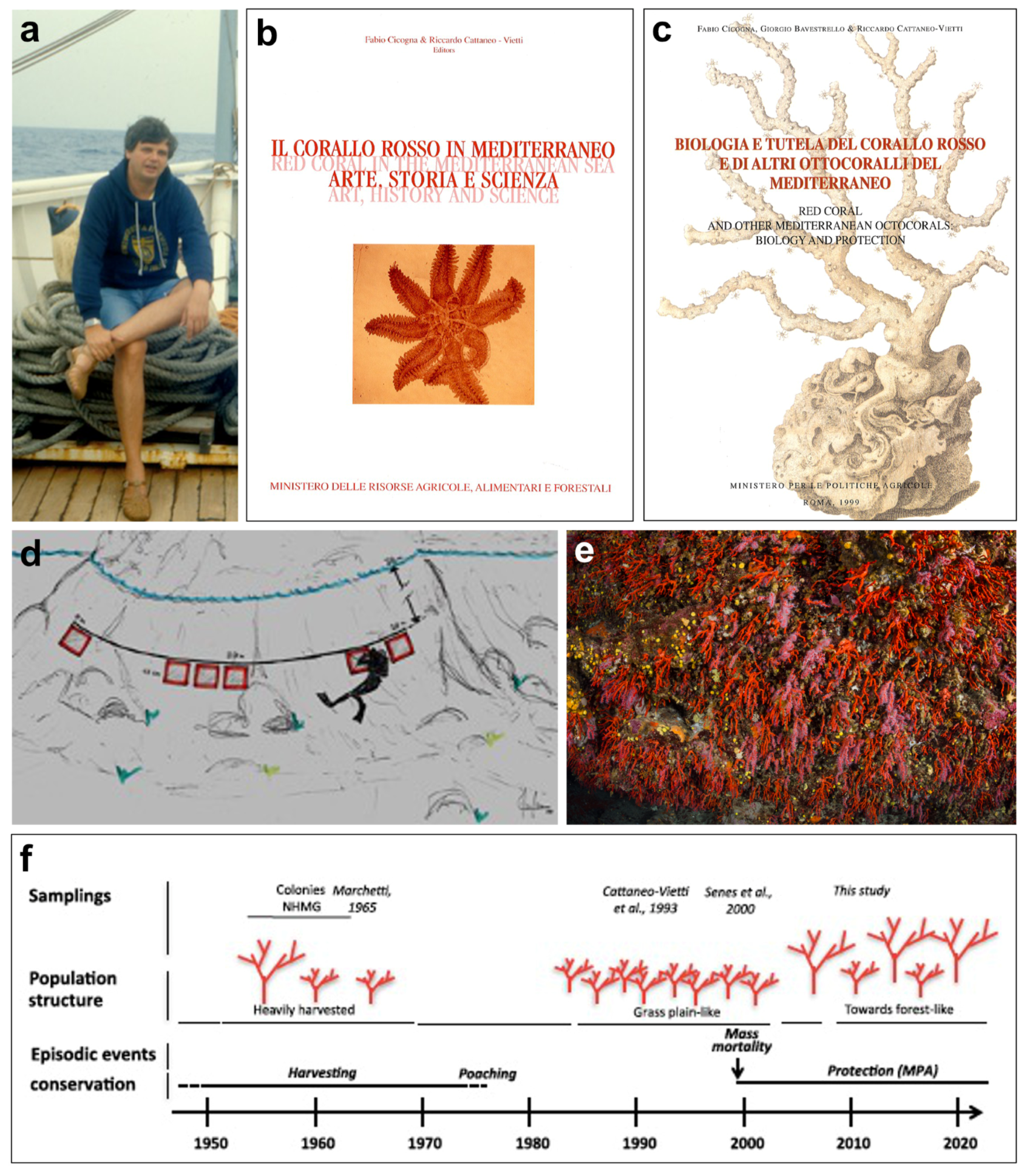 Diversity 16 00629 g011 Diversity 16 00629 g011