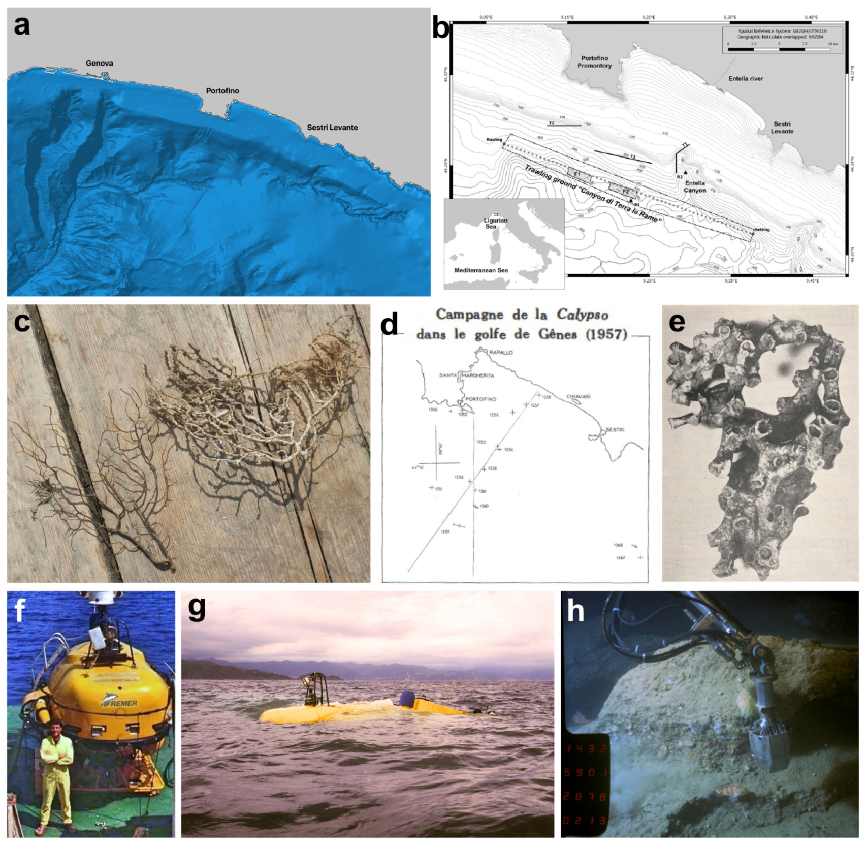 Diversity 16 00629 g013 Diversity 16 00629 g013