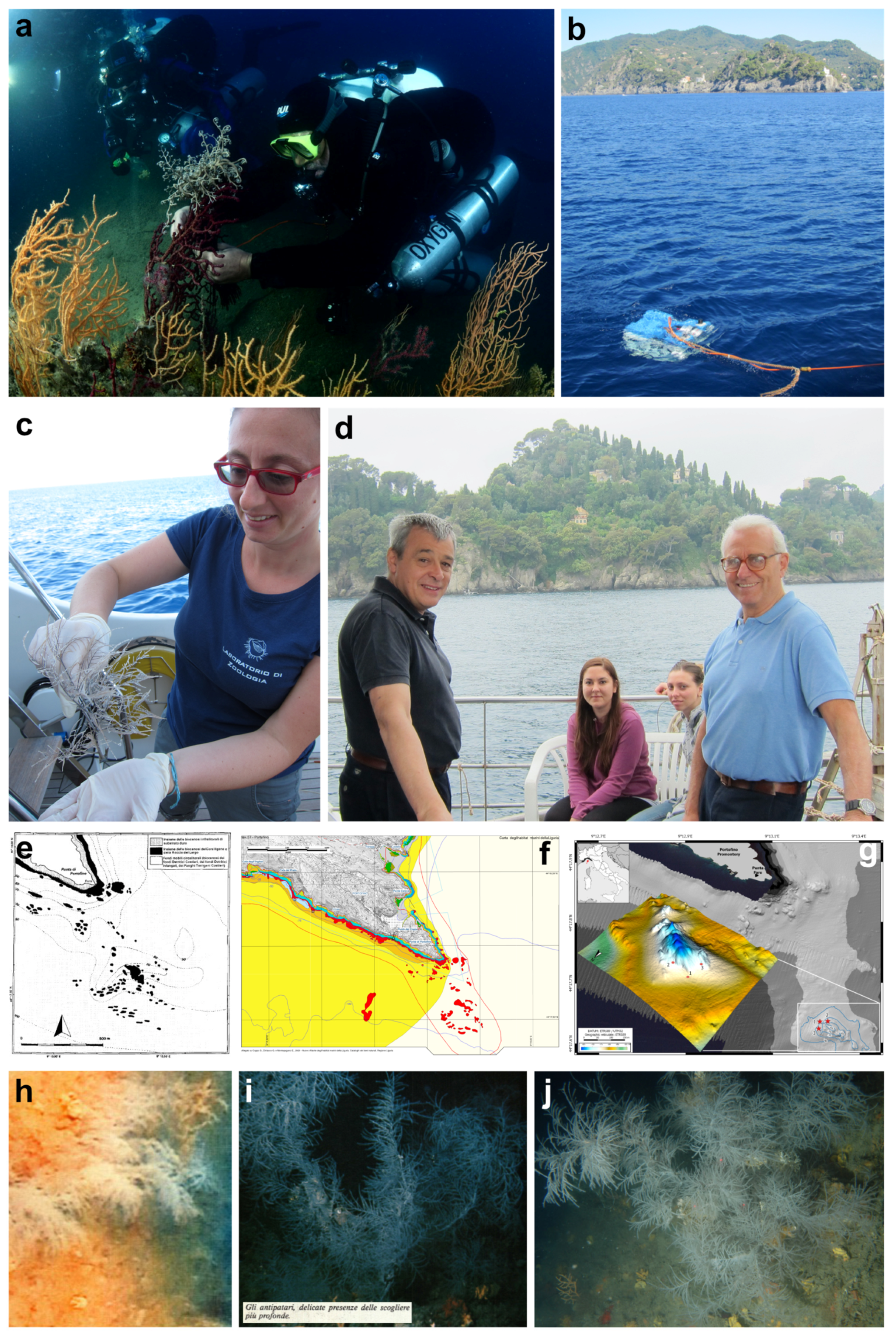 Diversity 16 00629 g014 Diversity 16 00629 g014