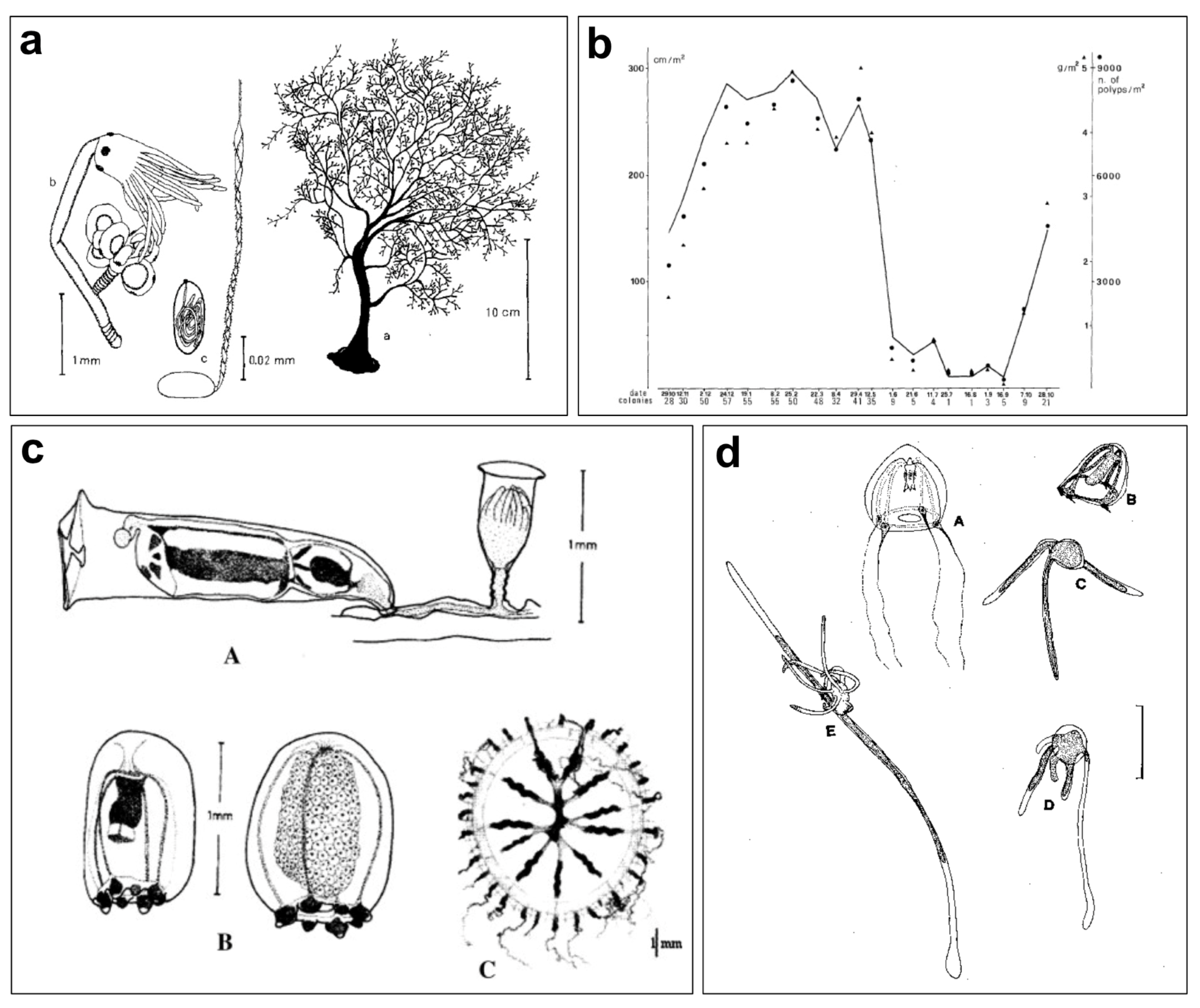 Diversity 16 00629 g018 Diversity 16 00629 g018