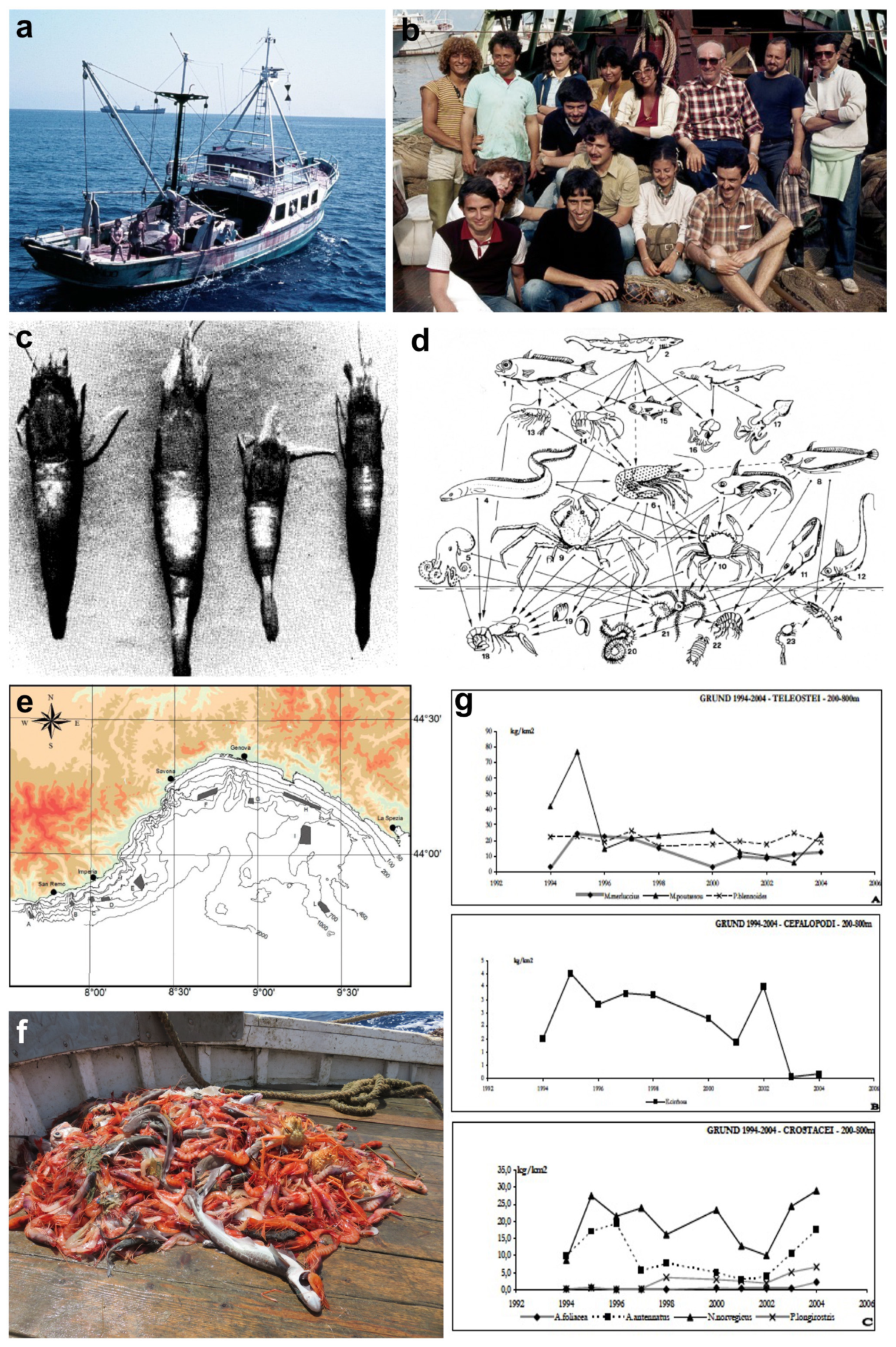 Diversity 16 00629 g020 Diversity 16 00629 g020