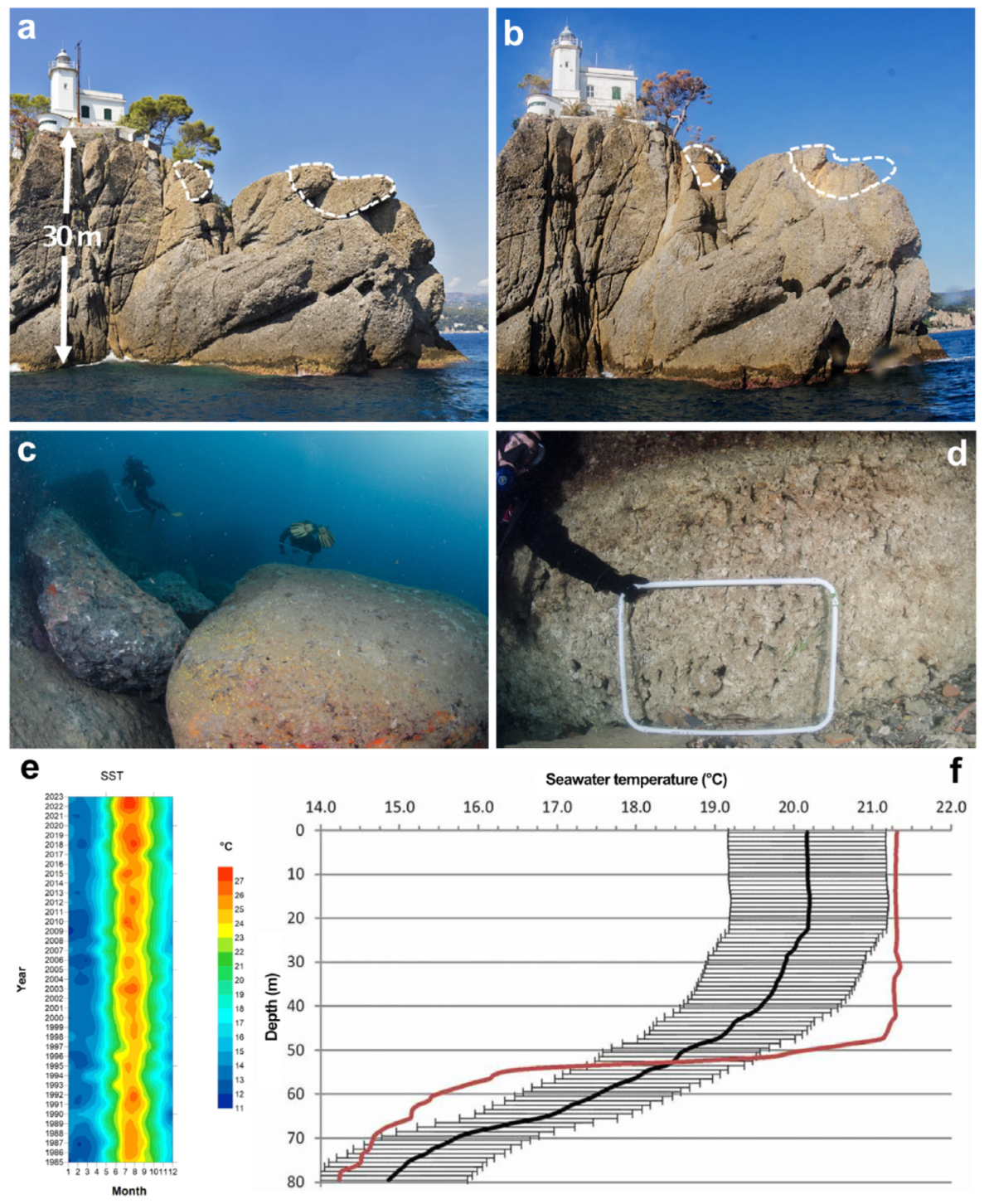 Diversity 16 00629 g026 Diversity 16 00629 g026